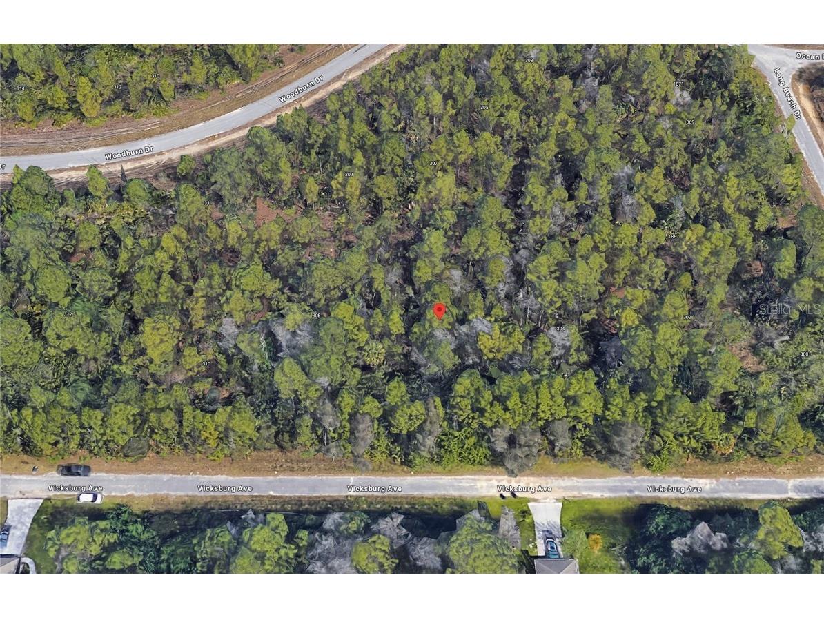 306 Vicksburg Avenue Lehigh Acres FL 33972 C7494219 image1