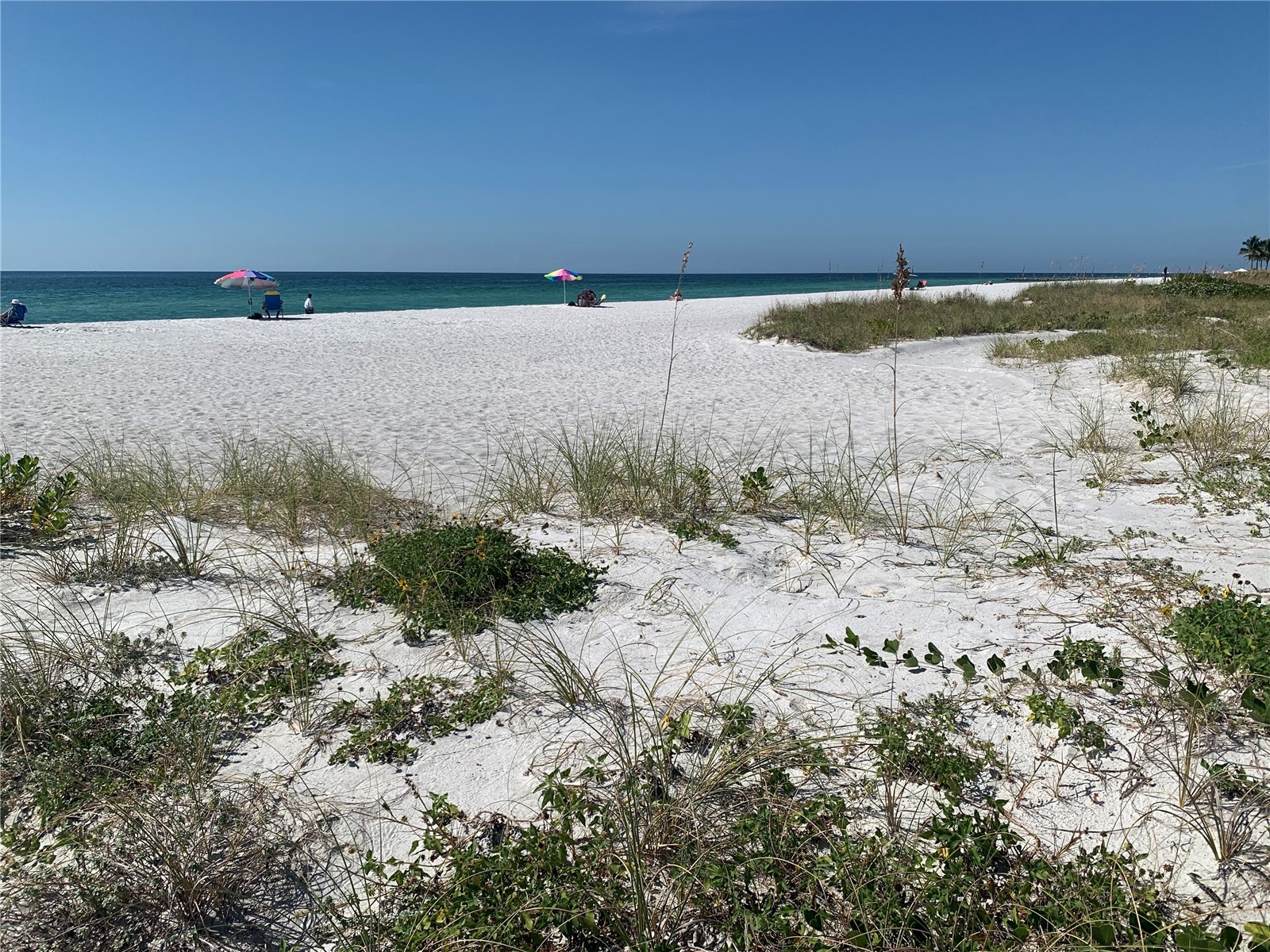 3060 Grand Bay Boulevard #174 Longboat Key FL 34228 R4910478 image79