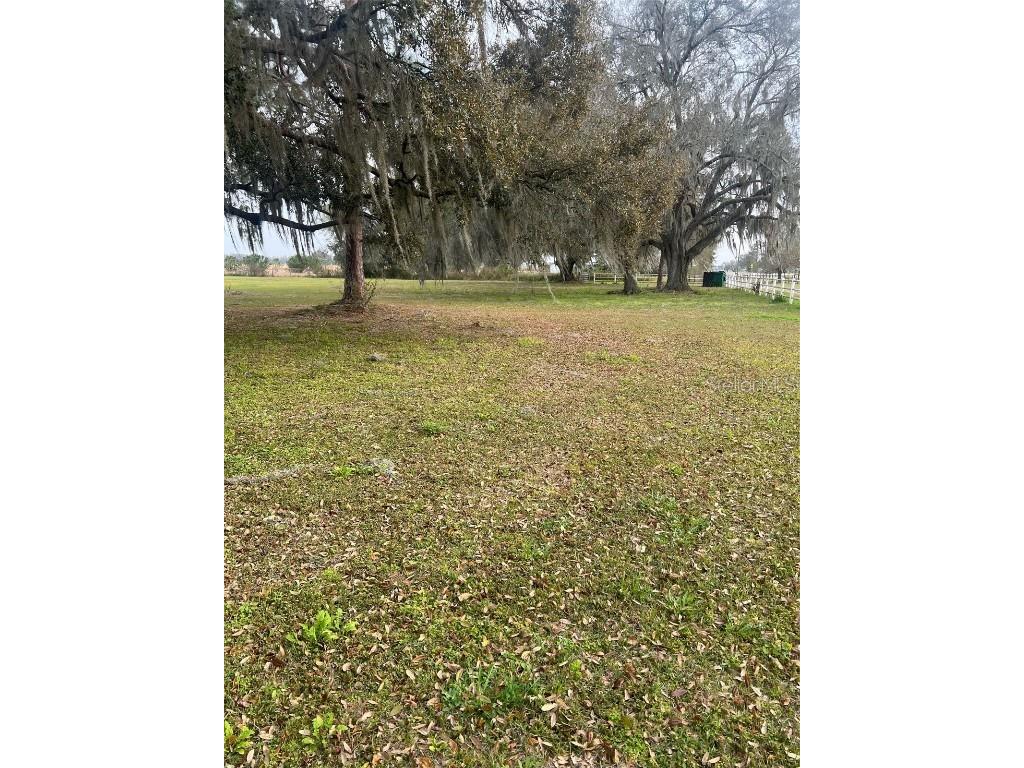 3060 Lanier Road Zephyrhills FL 33541 U8233011 image1