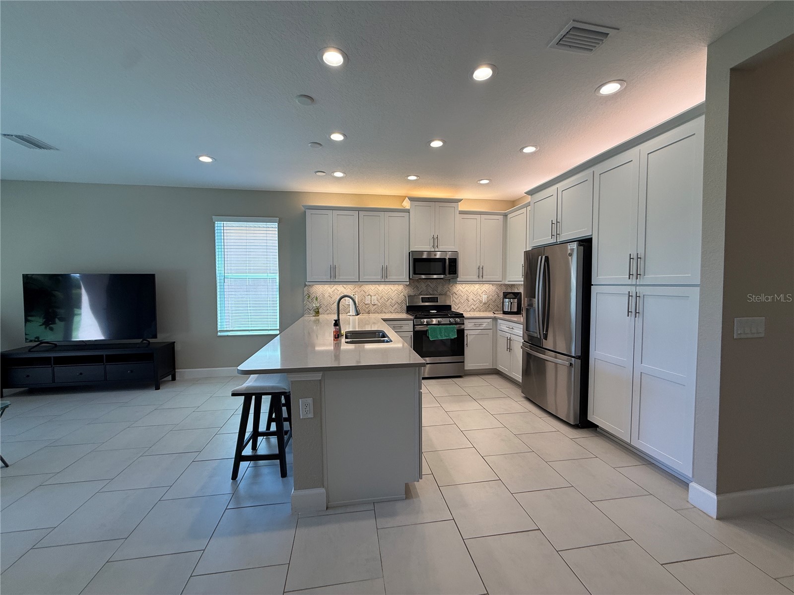 3060 Mountain Spruce Terrace Wesley Chapel FL 33543 TB8488988 image10