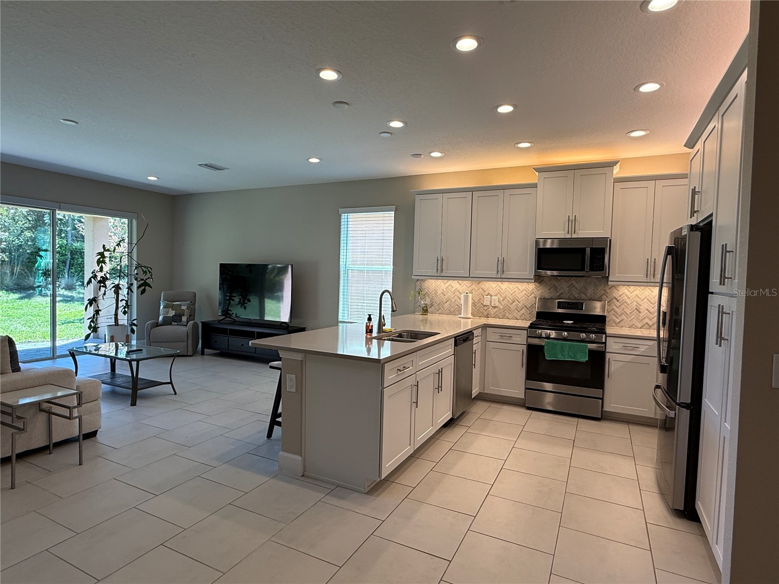 3060 Mountain Spruce Terrace Wesley Chapel FL 33543 TB8488988 image12