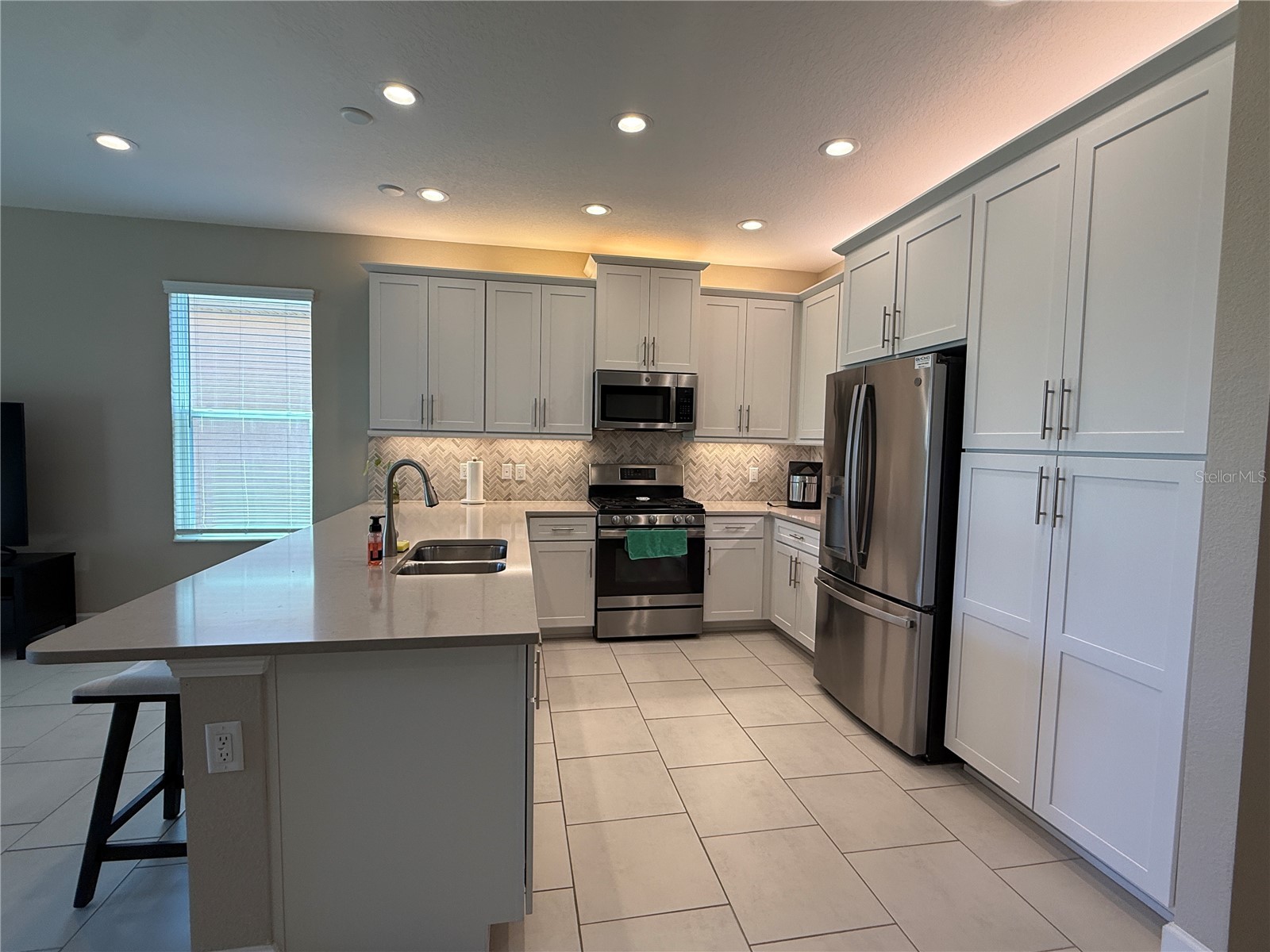 3060 Mountain Spruce Terrace Wesley Chapel FL 33543 TB8488988 image13