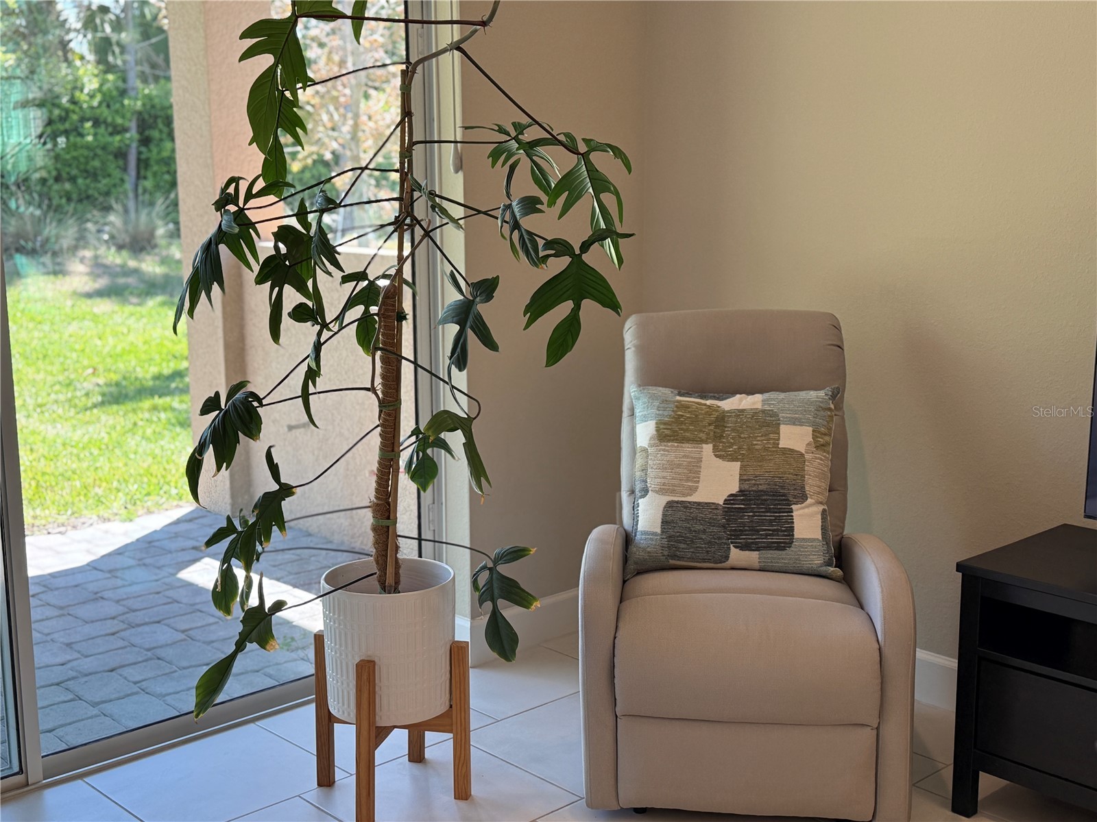3060 Mountain Spruce Terrace Wesley Chapel FL 33543 TB8488988 image15