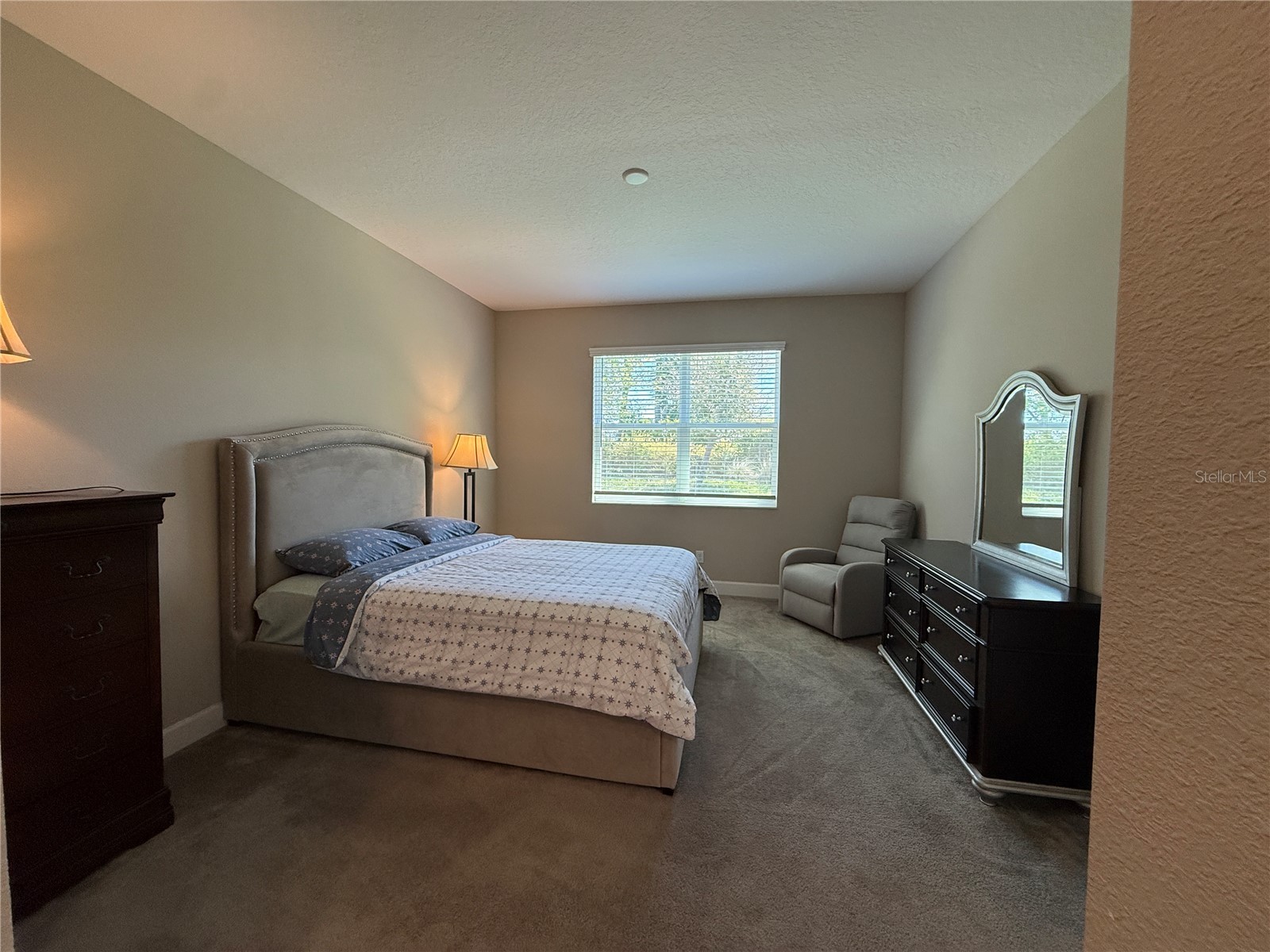 3060 Mountain Spruce Terrace Wesley Chapel FL 33543 TB8488988 image23