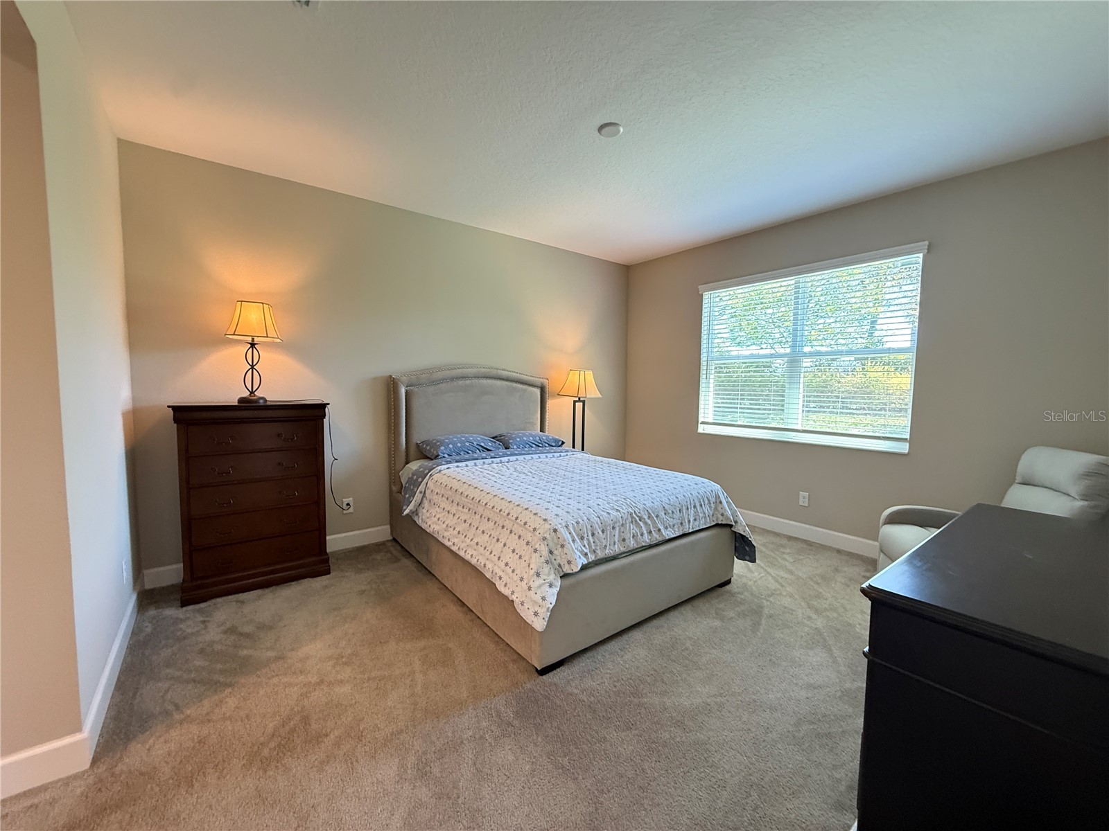 3060 Mountain Spruce Terrace Wesley Chapel FL 33543 TB8488988 image25