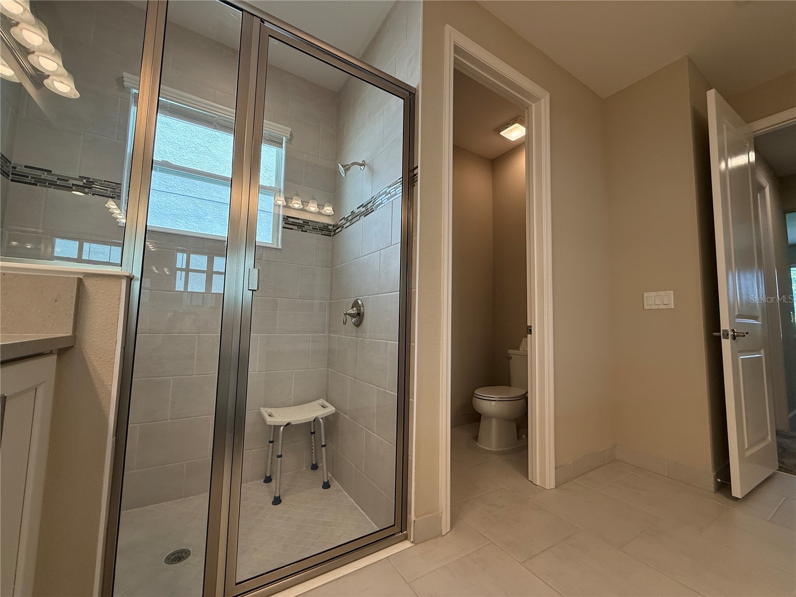 3060 Mountain Spruce Terrace Wesley Chapel FL 33543 TB8488988 image28