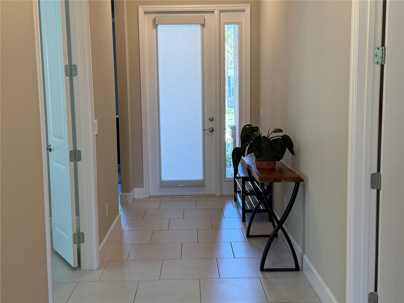 3060 Mountain Spruce Terrace Wesley Chapel FL 33543 TB8488988 image3