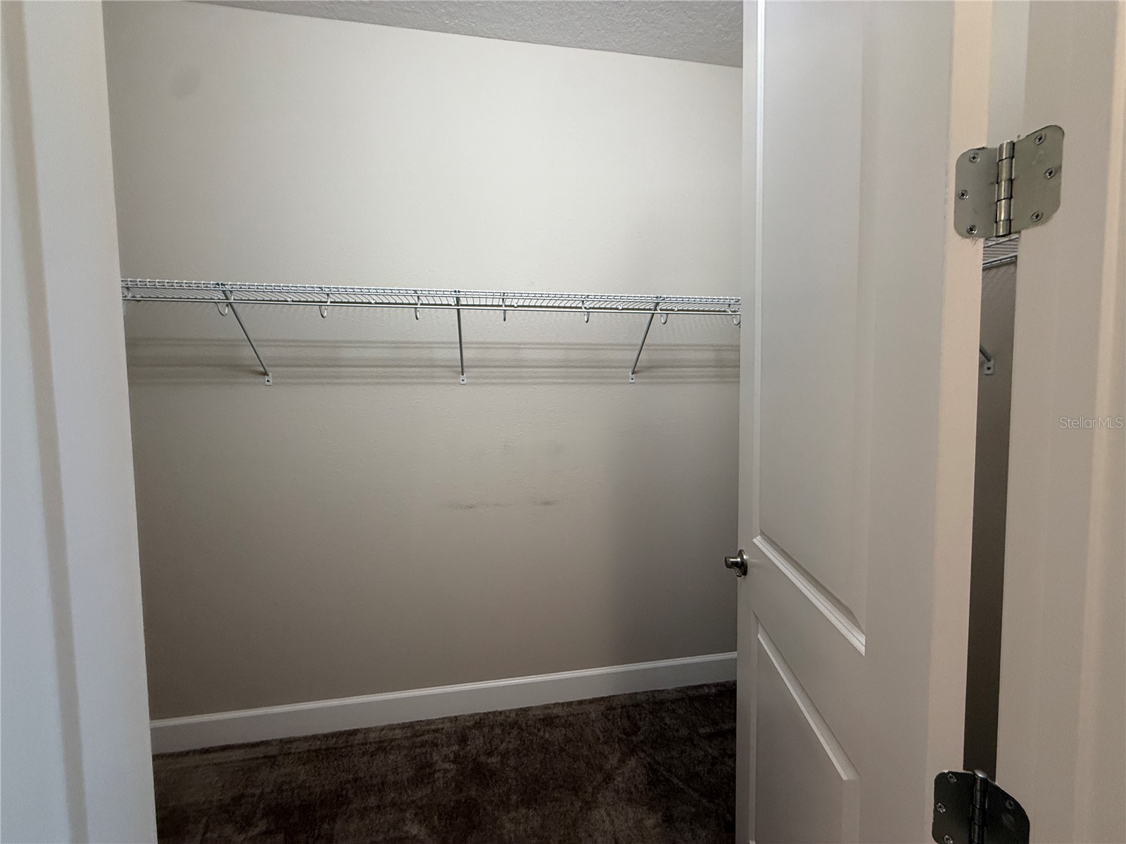 3060 Mountain Spruce Terrace Wesley Chapel FL 33543 TB8488988 image30