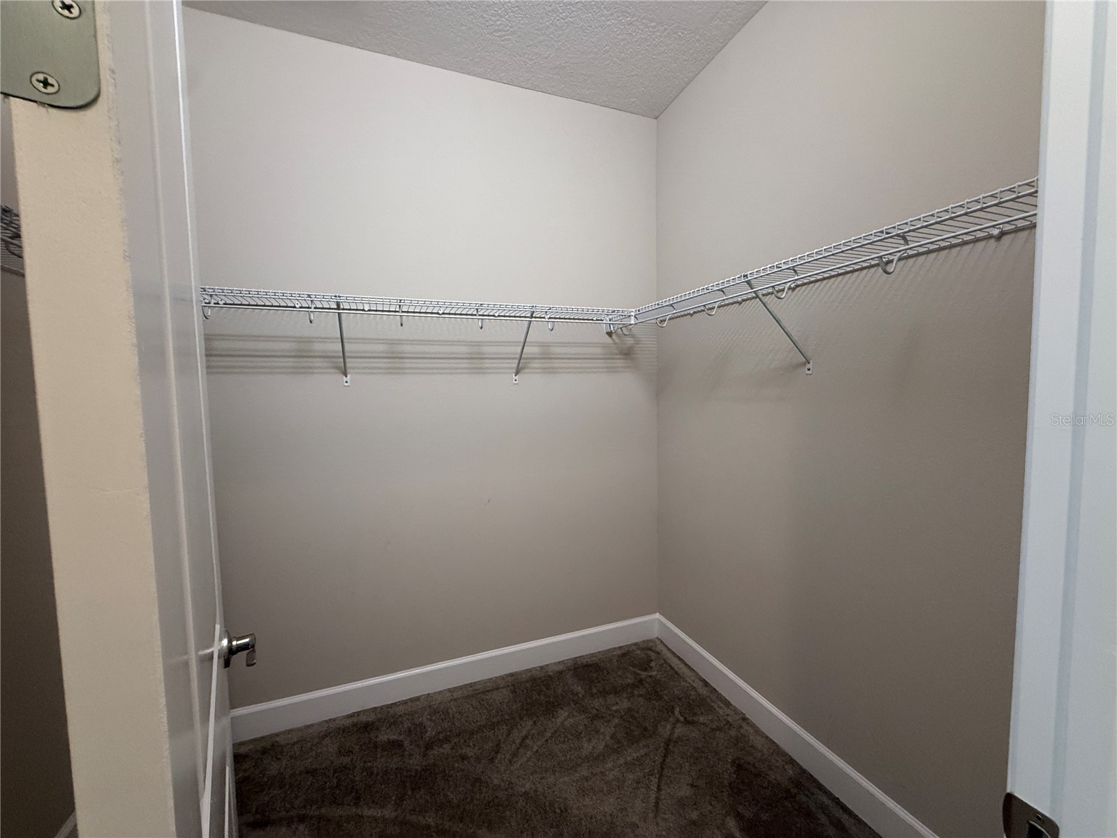 3060 Mountain Spruce Terrace Wesley Chapel FL 33543 TB8488988 image31