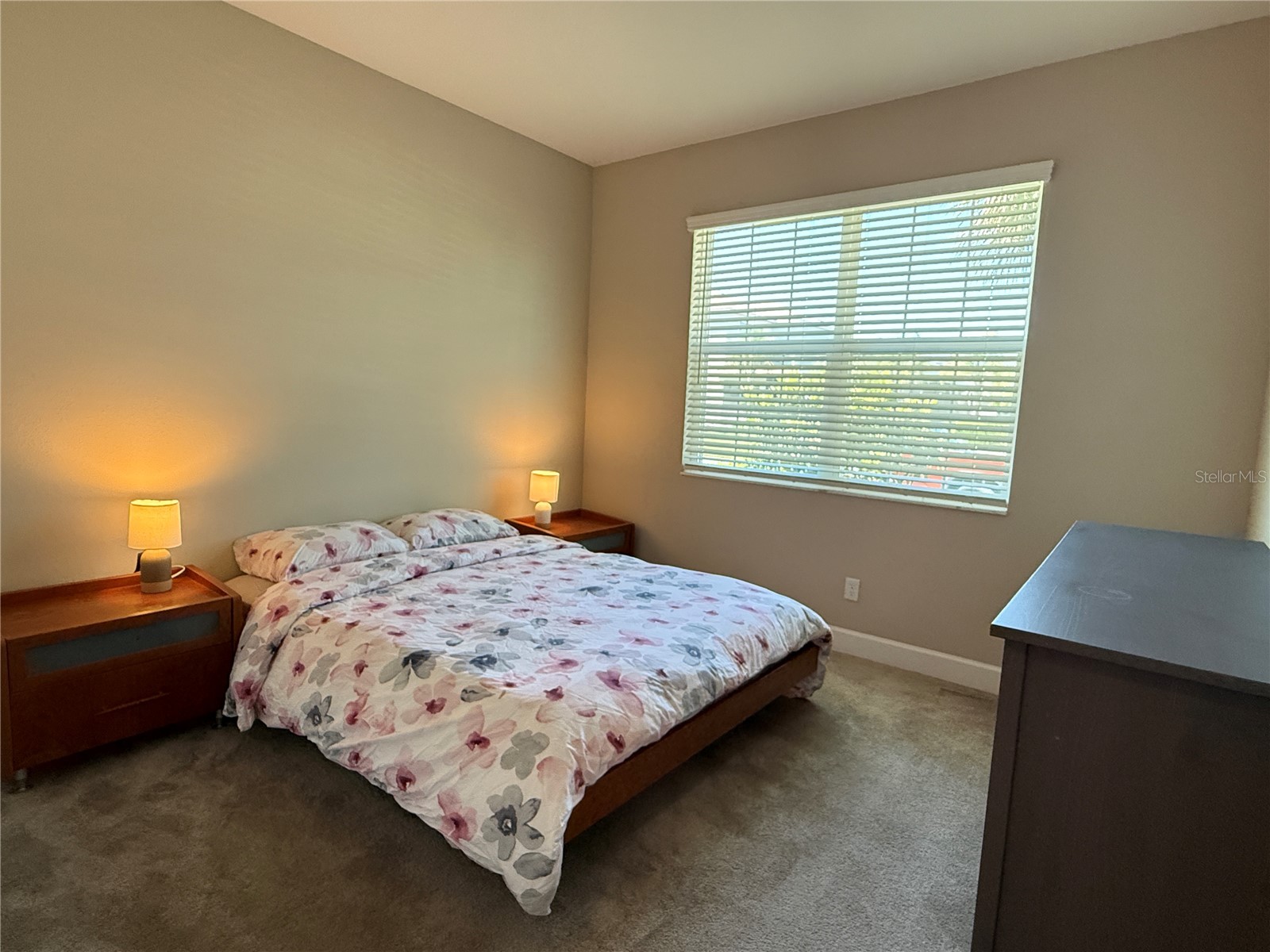 3060 Mountain Spruce Terrace Wesley Chapel FL 33543 TB8488988 image32