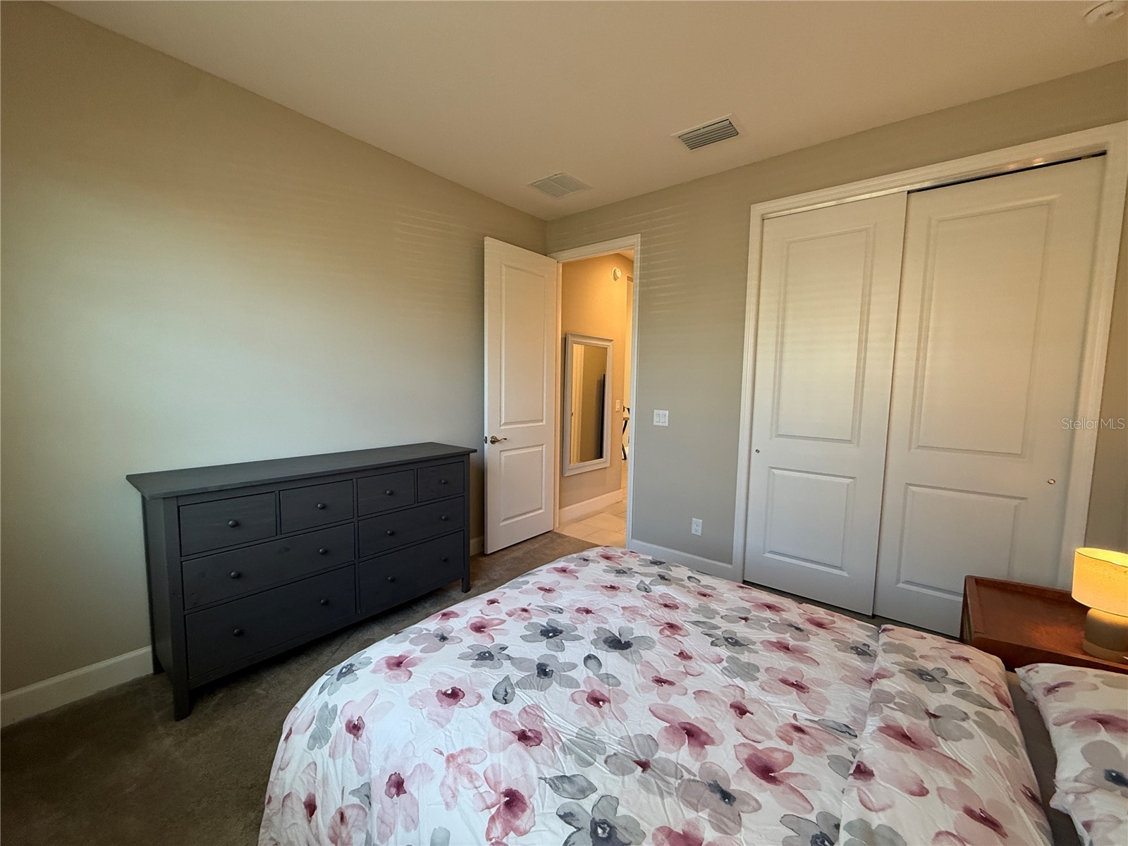 3060 Mountain Spruce Terrace Wesley Chapel FL 33543 TB8488988 image33