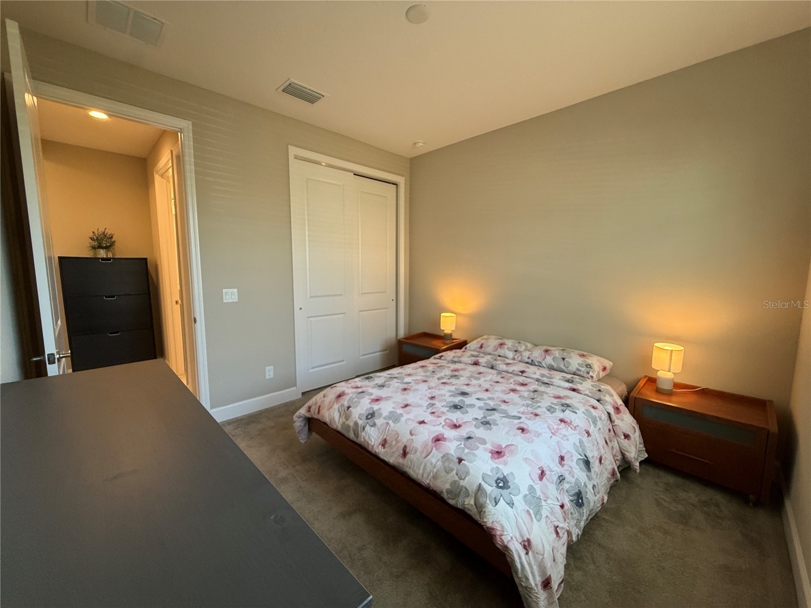 3060 Mountain Spruce Terrace Wesley Chapel FL 33543 TB8488988 image34