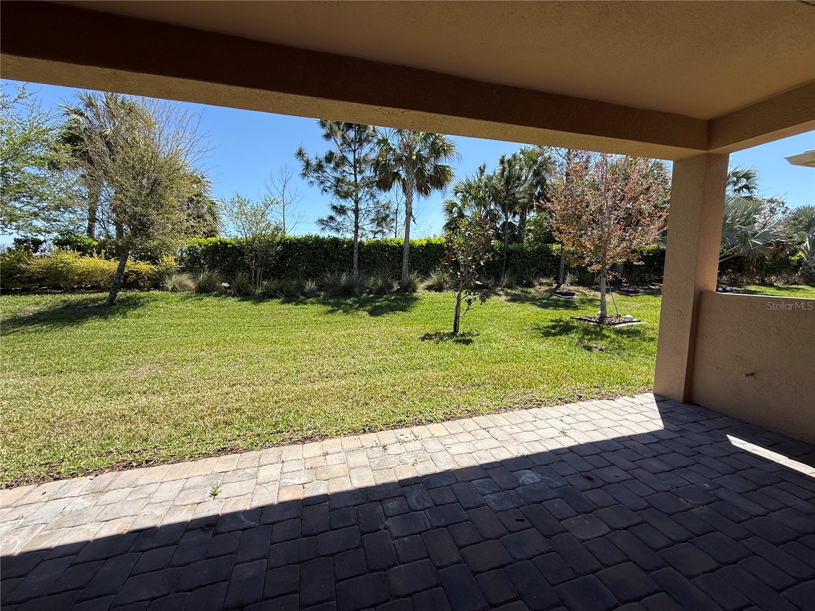 3060 Mountain Spruce Terrace Wesley Chapel FL 33543 TB8488988 image40