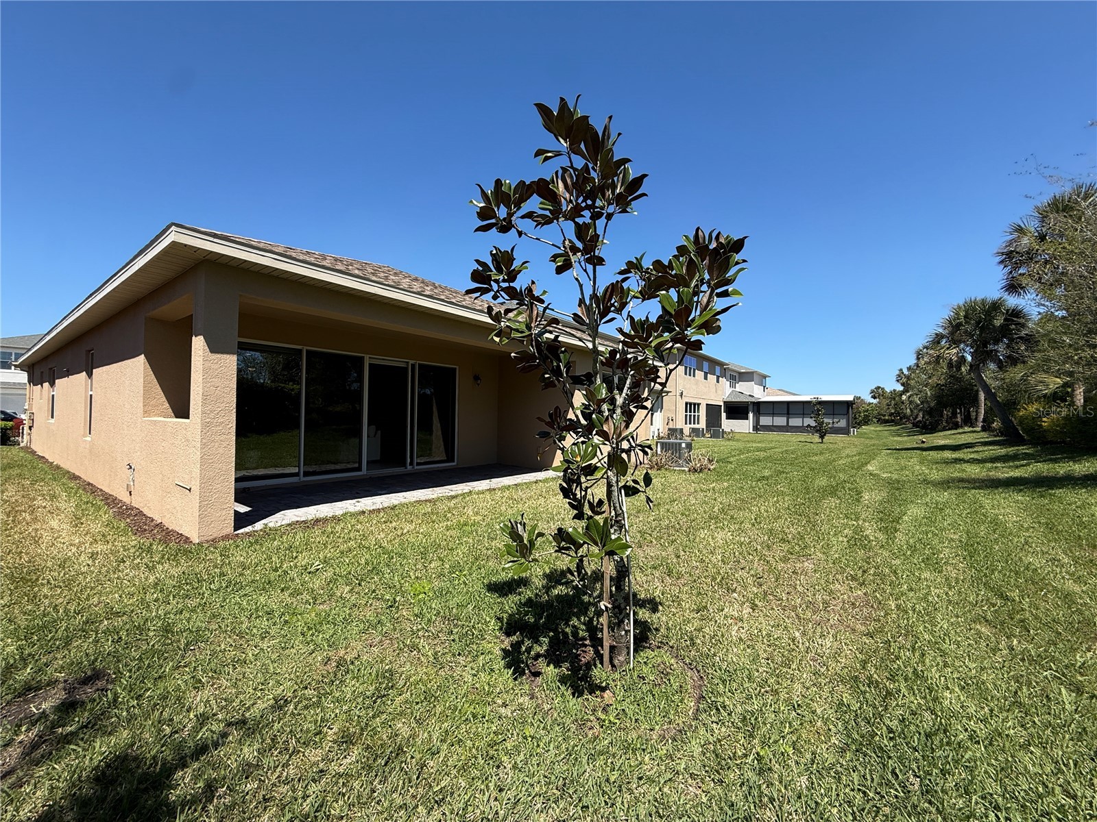 3060 Mountain Spruce Terrace Wesley Chapel FL 33543 TB8488988 image42