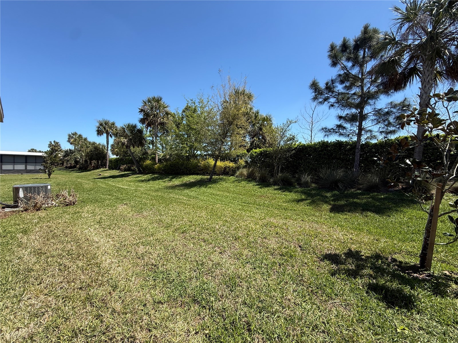 3060 Mountain Spruce Terrace Wesley Chapel FL 33543 TB8488988 image43