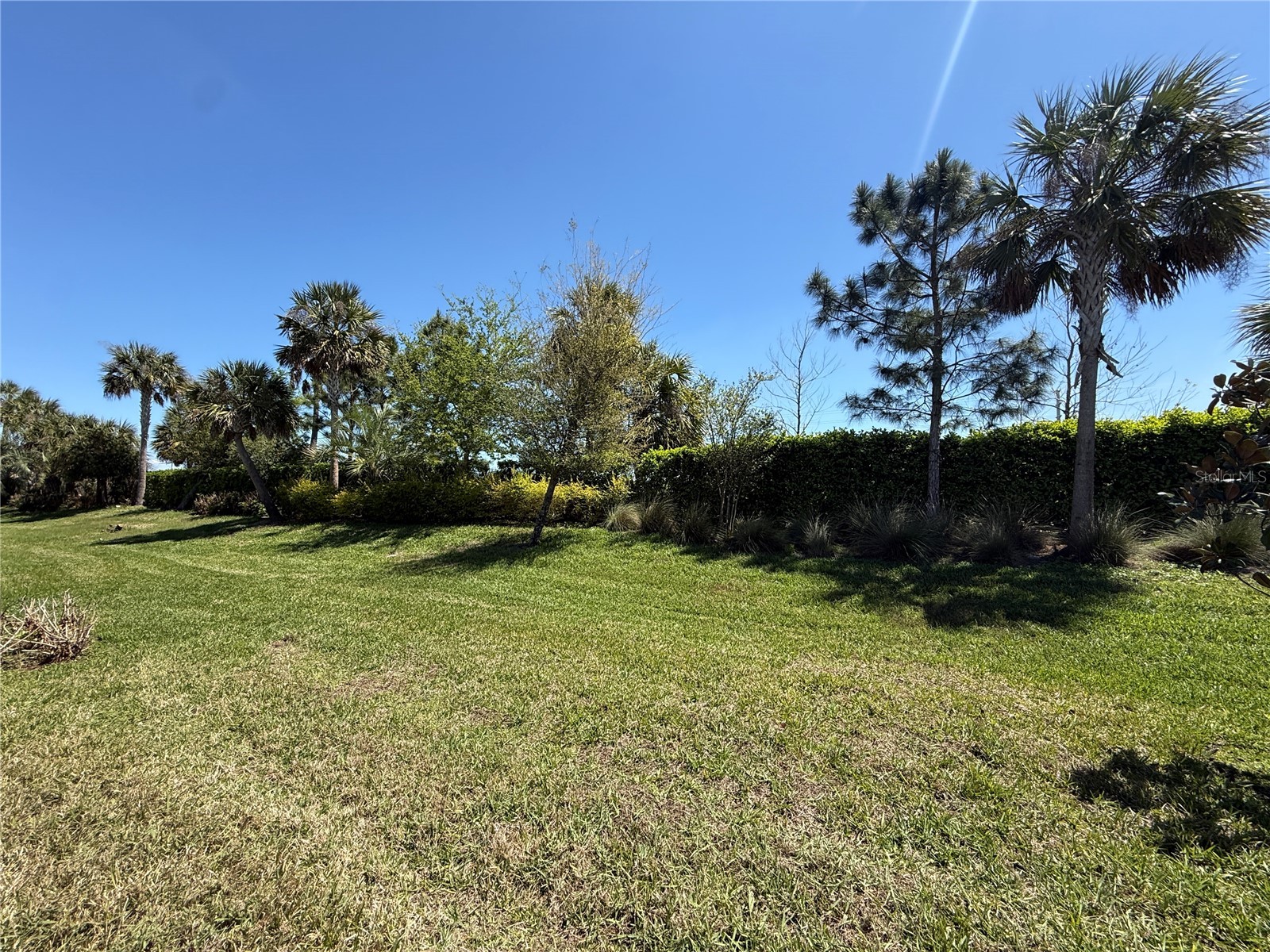 3060 Mountain Spruce Terrace Wesley Chapel FL 33543 TB8488988 image44