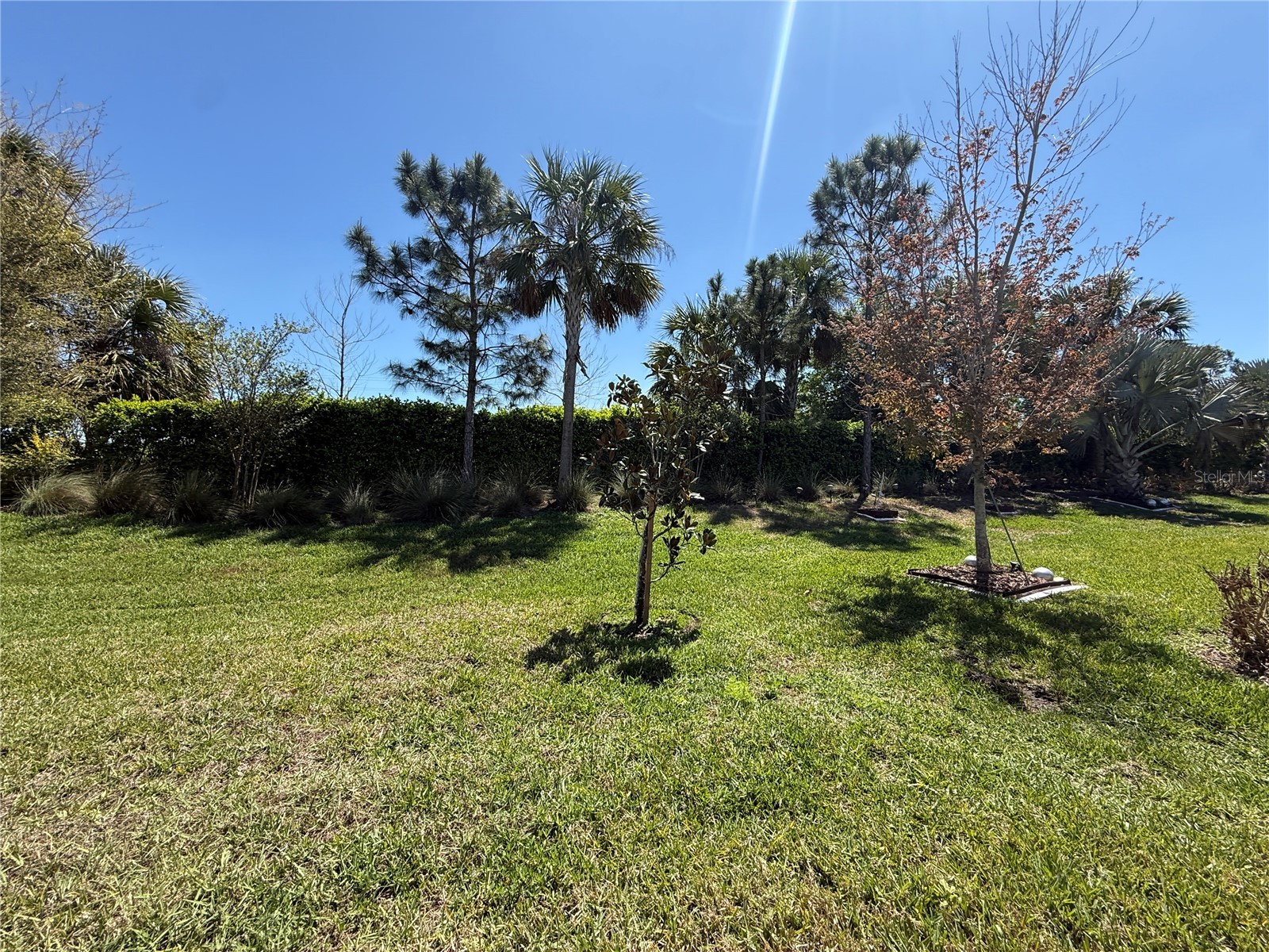 3060 Mountain Spruce Terrace Wesley Chapel FL 33543 TB8488988 image45