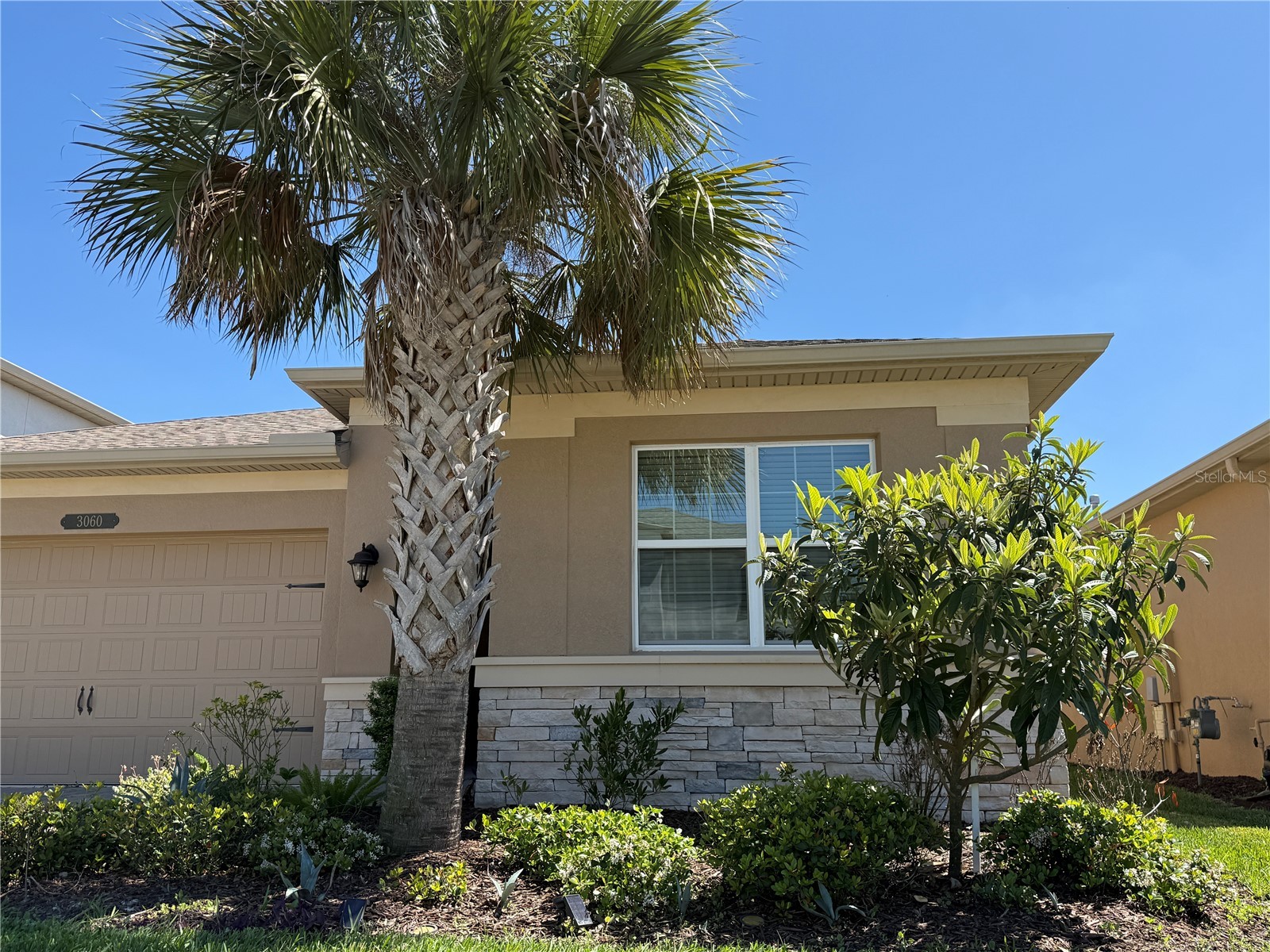 3060 Mountain Spruce Terrace Wesley Chapel FL 33543 TB8488988 image46