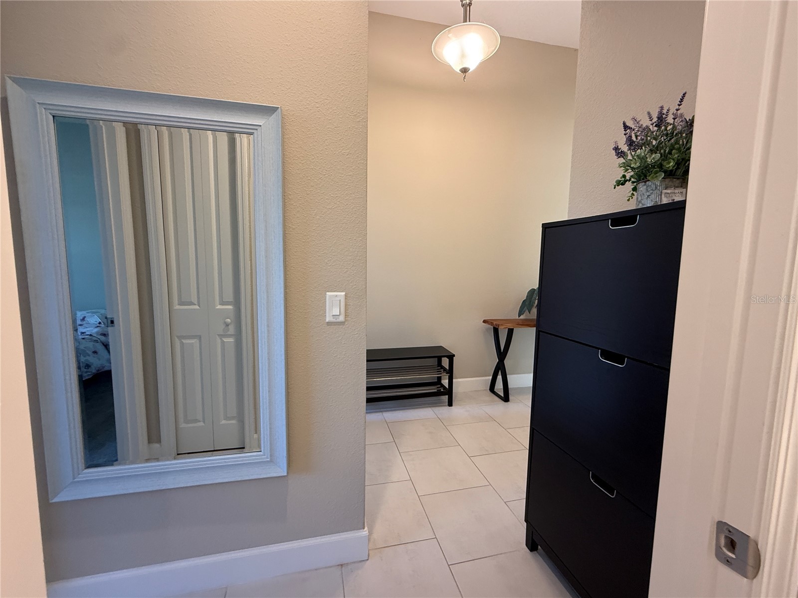 3060 Mountain Spruce Terrace Wesley Chapel FL 33543 TB8488988 image5