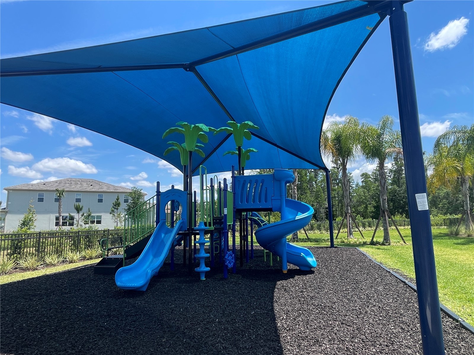 3060 Mountain Spruce Terrace Wesley Chapel FL 33543 TB8488988 image53