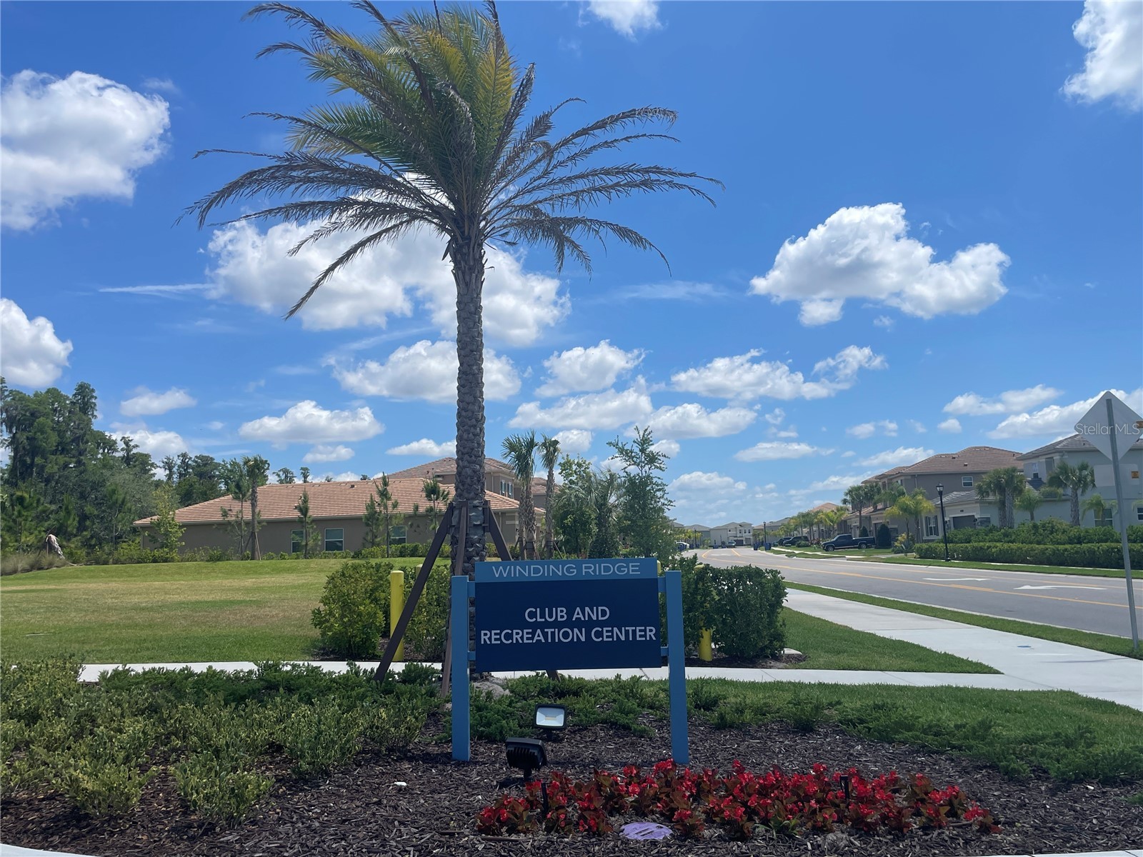 3060 Mountain Spruce Terrace Wesley Chapel FL 33543 TB8488988 image60