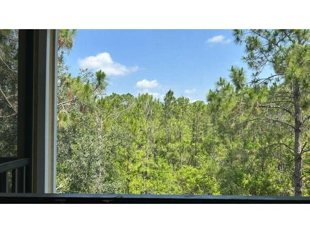 3060 Pirates Retreat Court #407 Kissimmee FL 34747 O6408163 image16