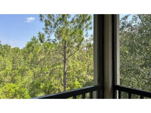 3060 Pirates Retreat Court #407 Kissimmee FL 34747 O6408163 image17