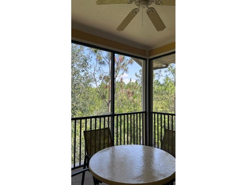 3060 Pirates Retreat Court #407 Kissimmee FL 34747 O6408163 image18