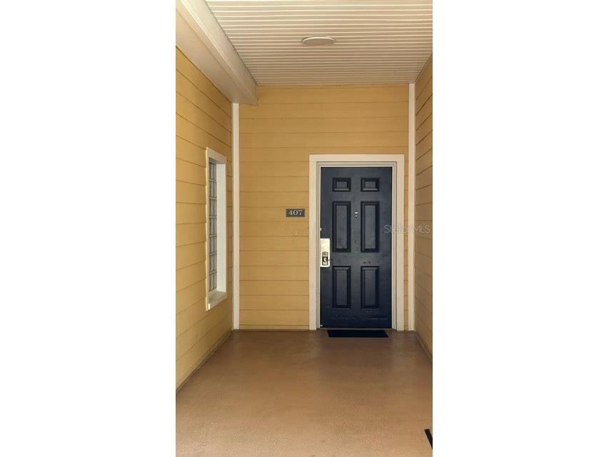 3060 Pirates Retreat Court #407 Kissimmee FL 34747 O6408163 image20
