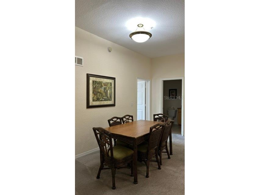 3060 Pirates Retreat Court #407 Kissimmee FL 34747 O6408163 image7