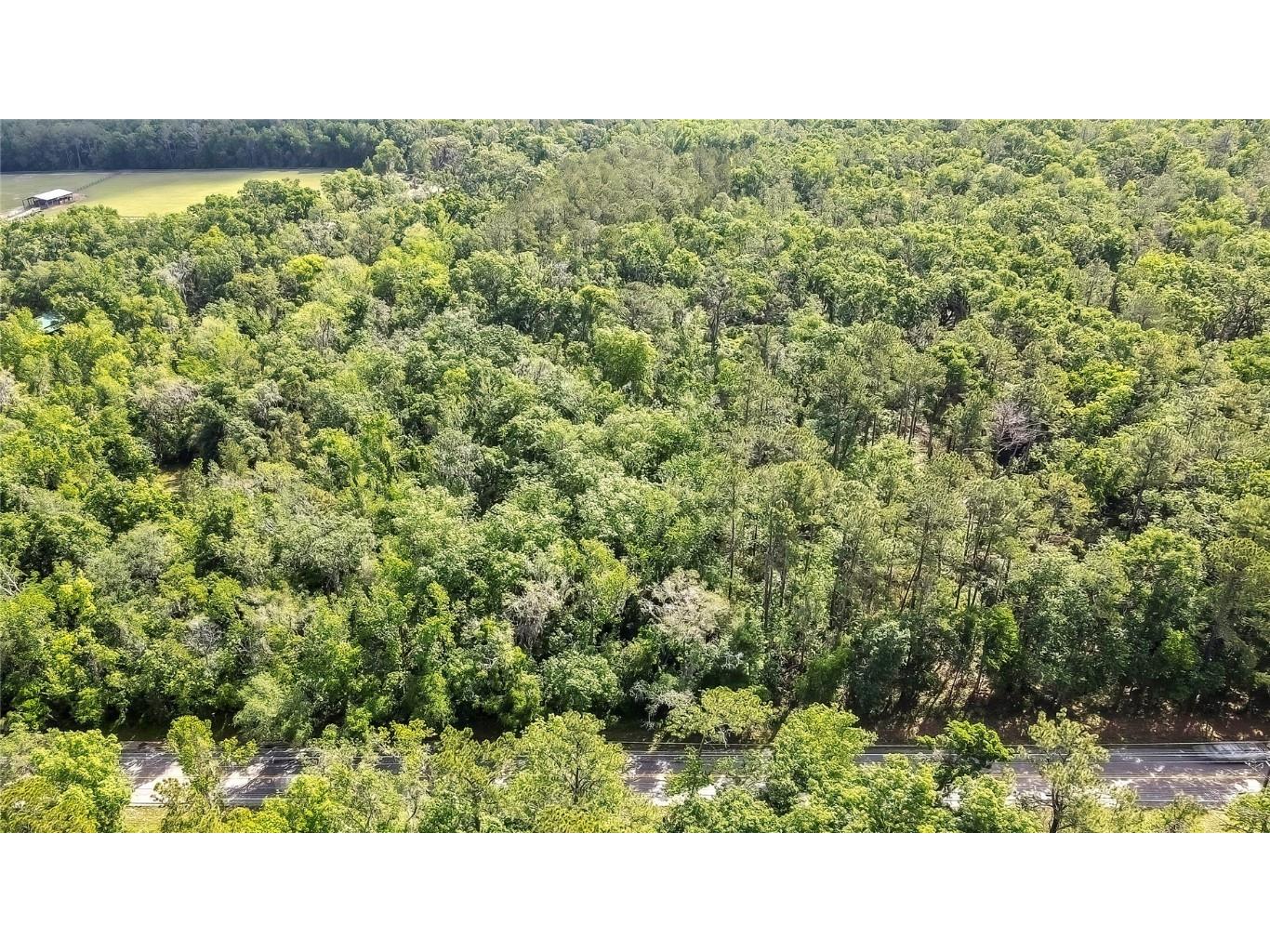 3060 Spring Lake Highway Brooksville FL 34602 TB8376013 image3