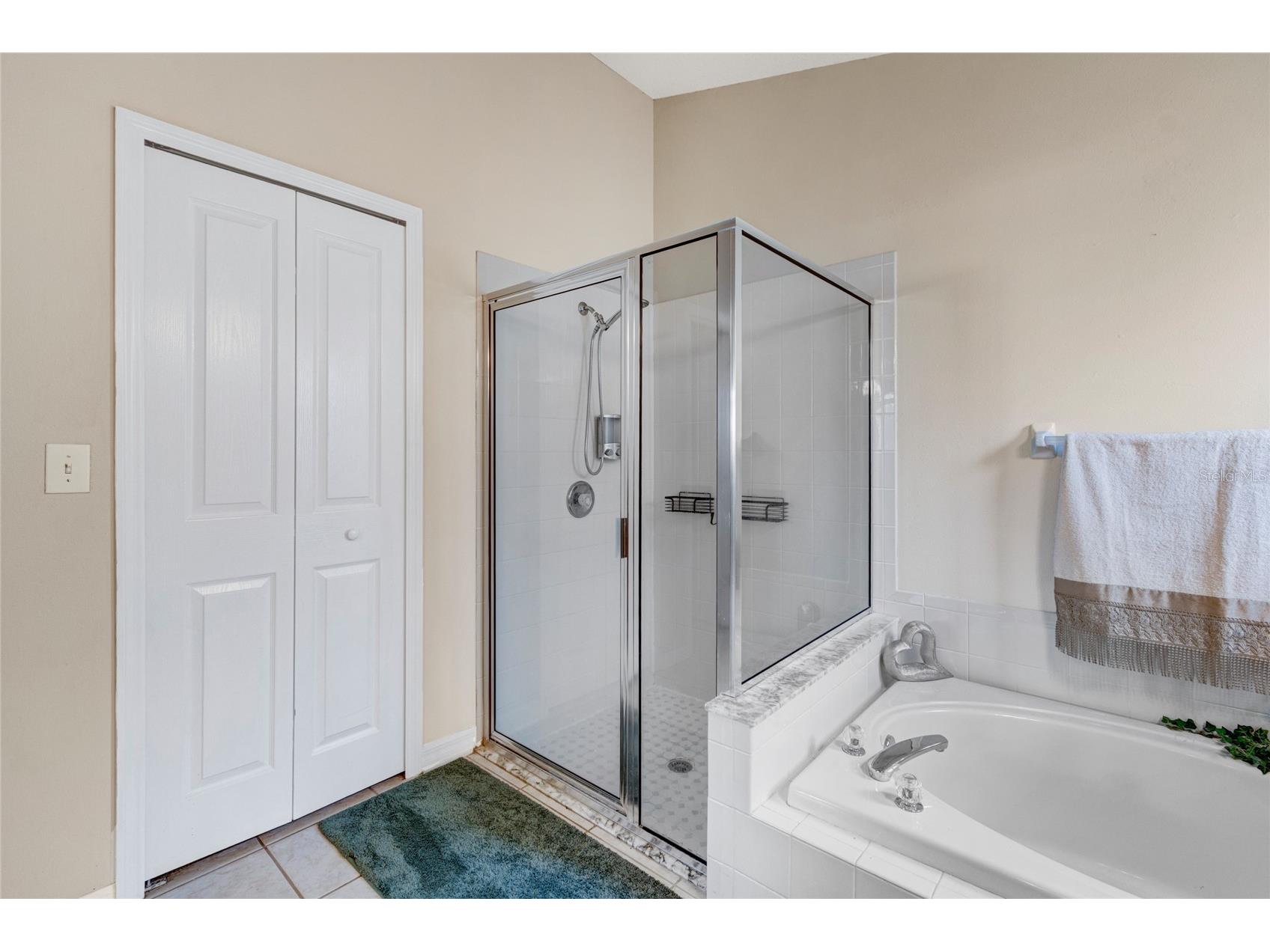 30600 Nickerson Loop Wesley Chapel FL 33543 TB8510471 image42