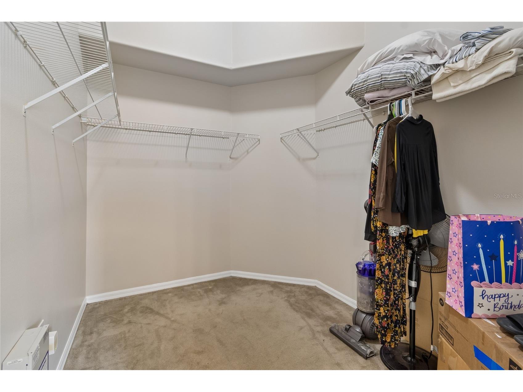 30600 Nickerson Loop Wesley Chapel FL 33543 TB8510471 image43