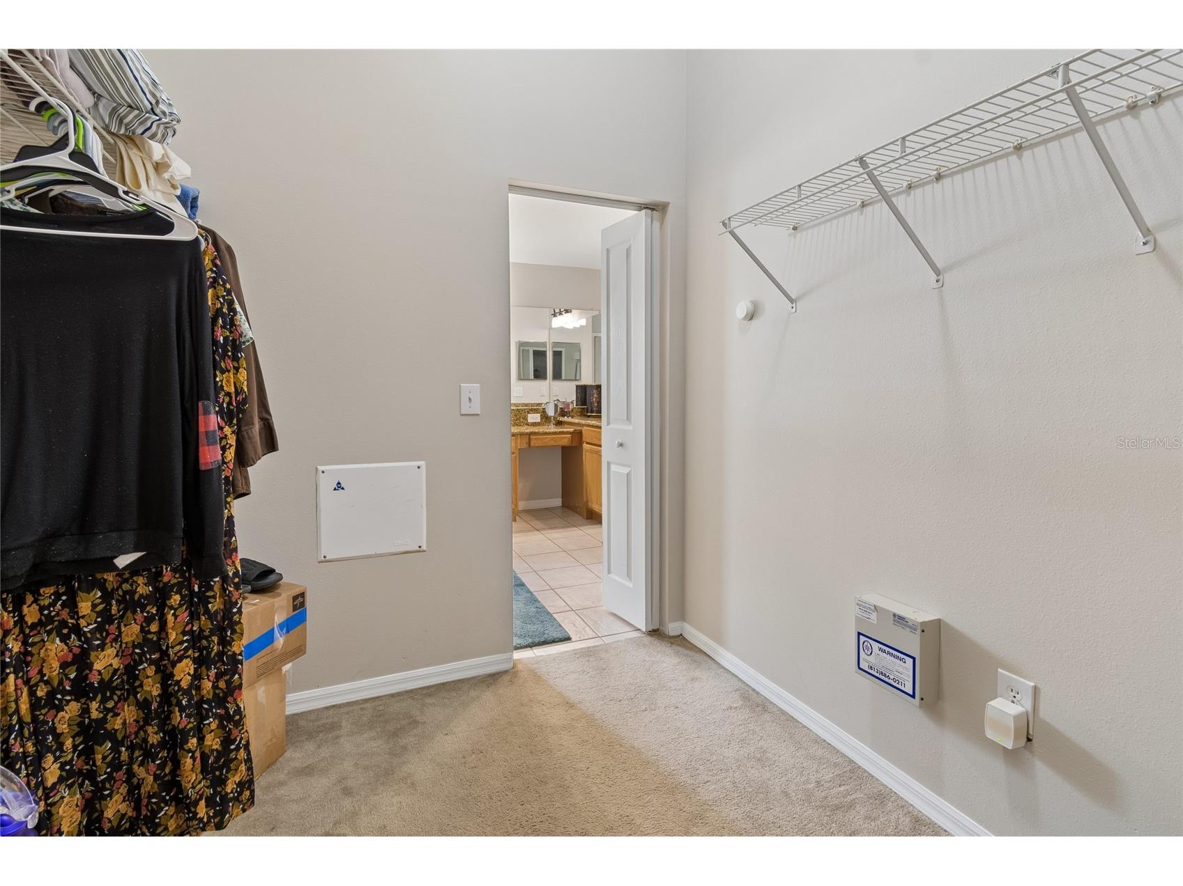 30600 Nickerson Loop Wesley Chapel FL 33543 TB8510471 image44
