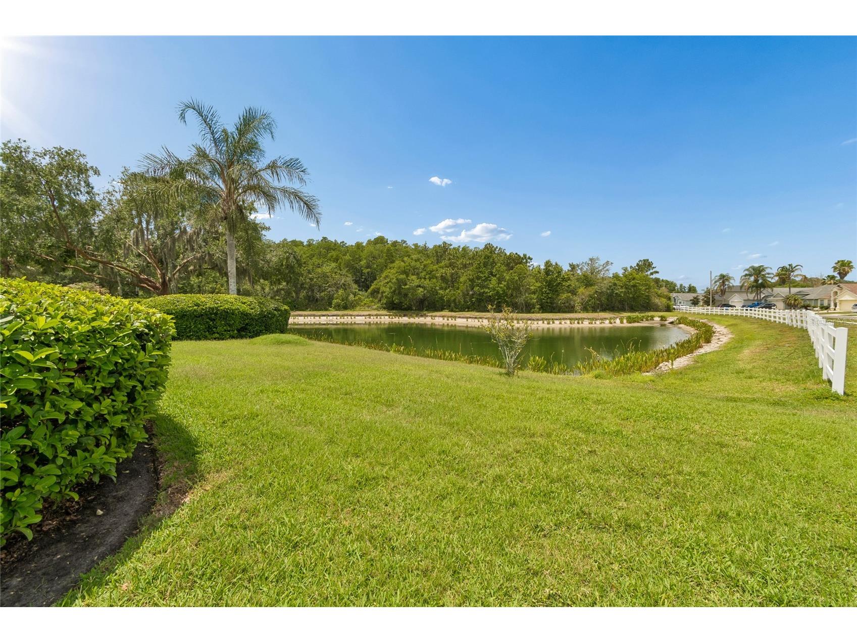 30600 Nickerson Loop Wesley Chapel FL 33543 TB8510471 image52