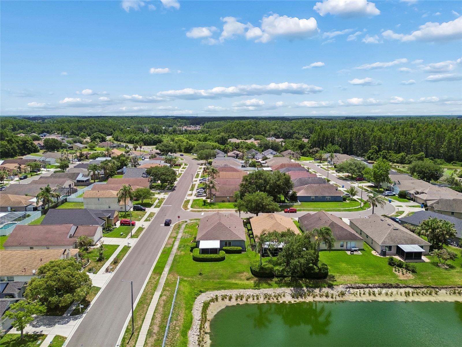 30600 Nickerson Loop Wesley Chapel FL 33543 TB8510471 image61