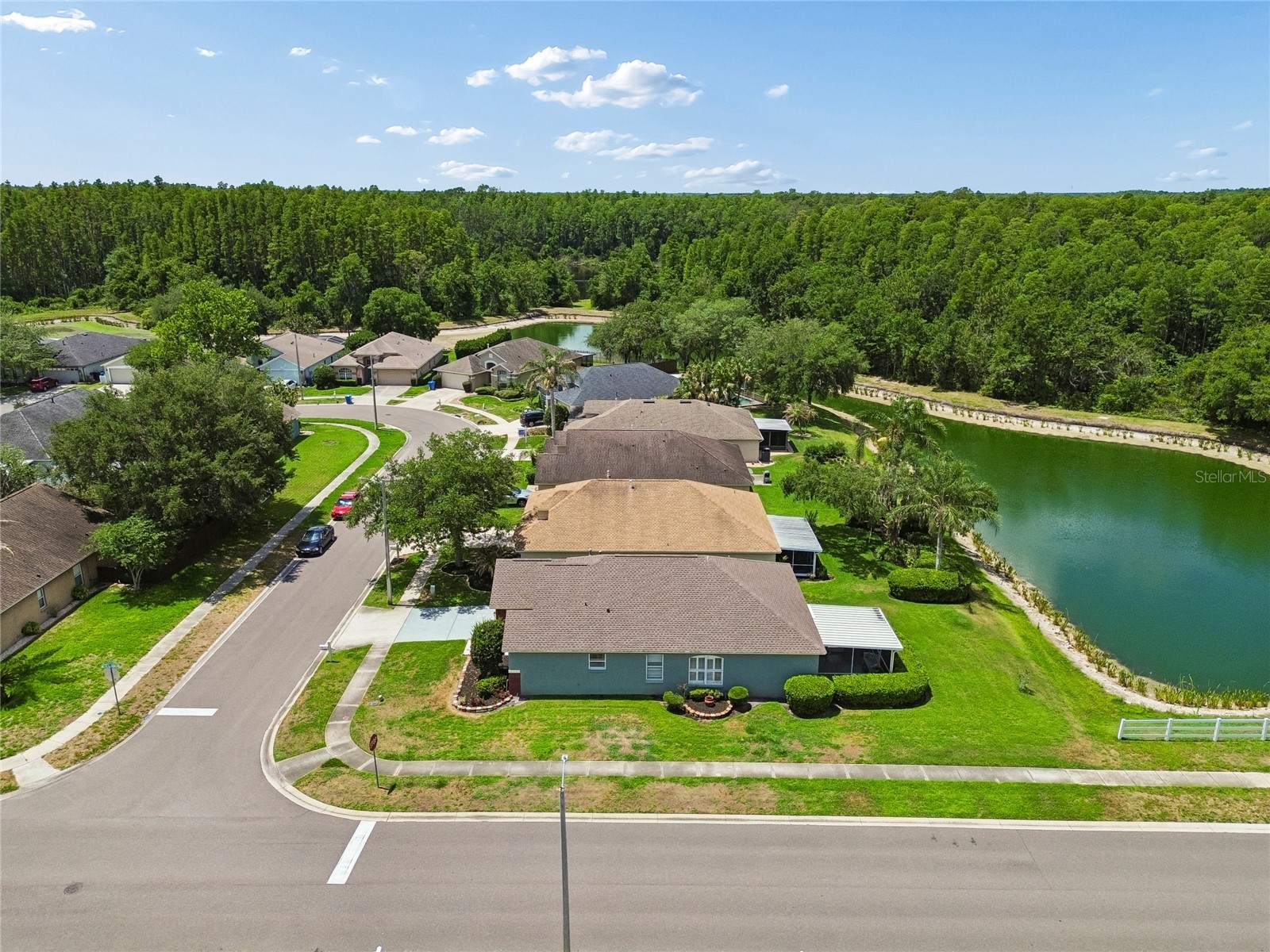 30600 Nickerson Loop Wesley Chapel FL 33543 TB8510471 image65