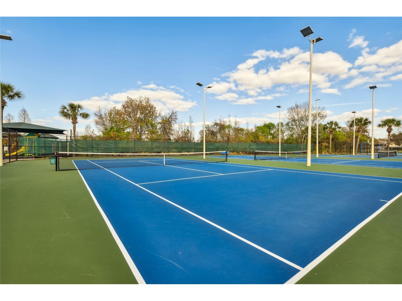 30600 Nickerson Loop Wesley Chapel FL 33543 TB8510471 image79