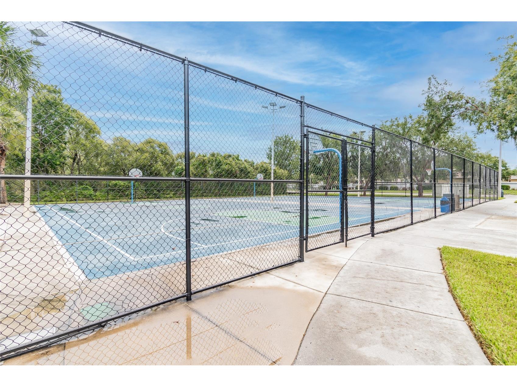 30600 Nickerson Loop Wesley Chapel FL 33543 TB8510471 image91
