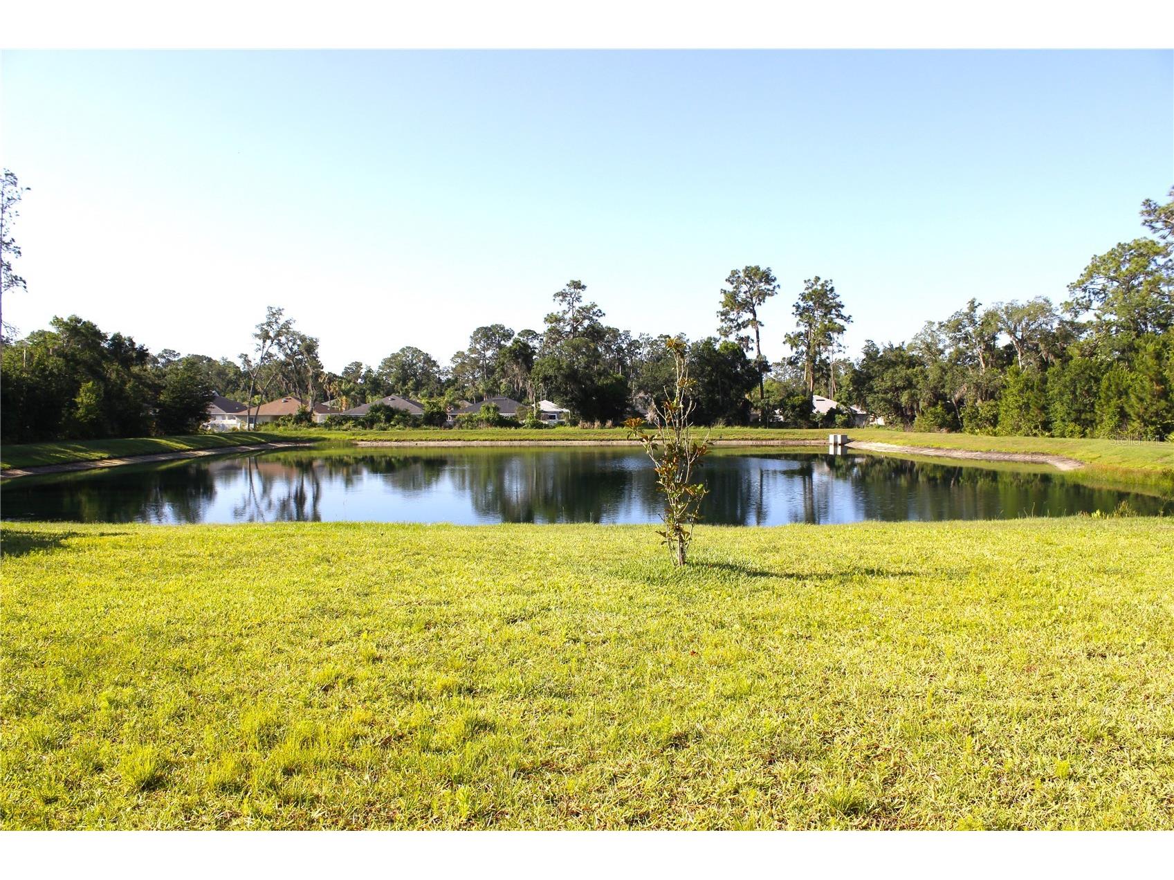 30600 Thunderbird Drive Wesley Chapel FL 33545 TB8510189 image13