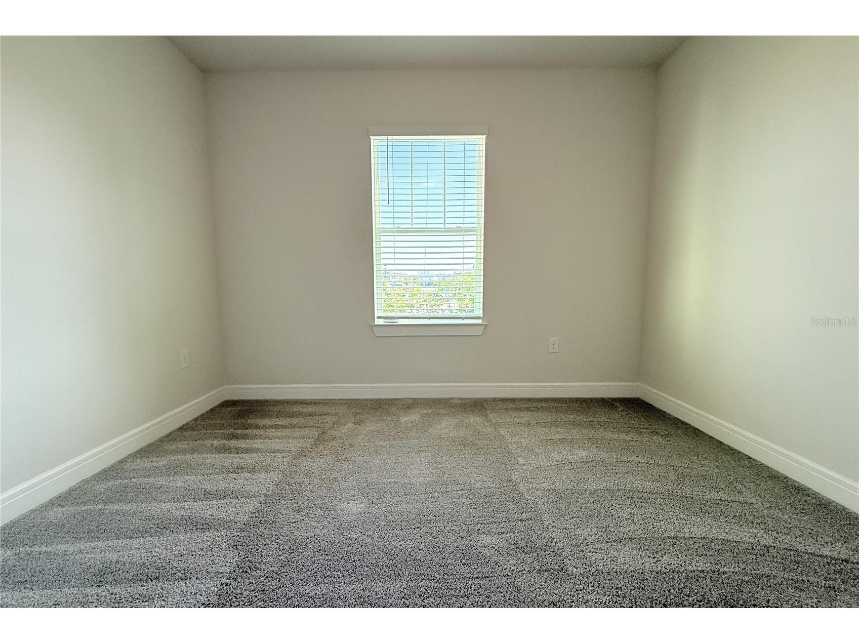 30600 Thunderbird Drive Wesley Chapel FL 33545 TB8510189 image39