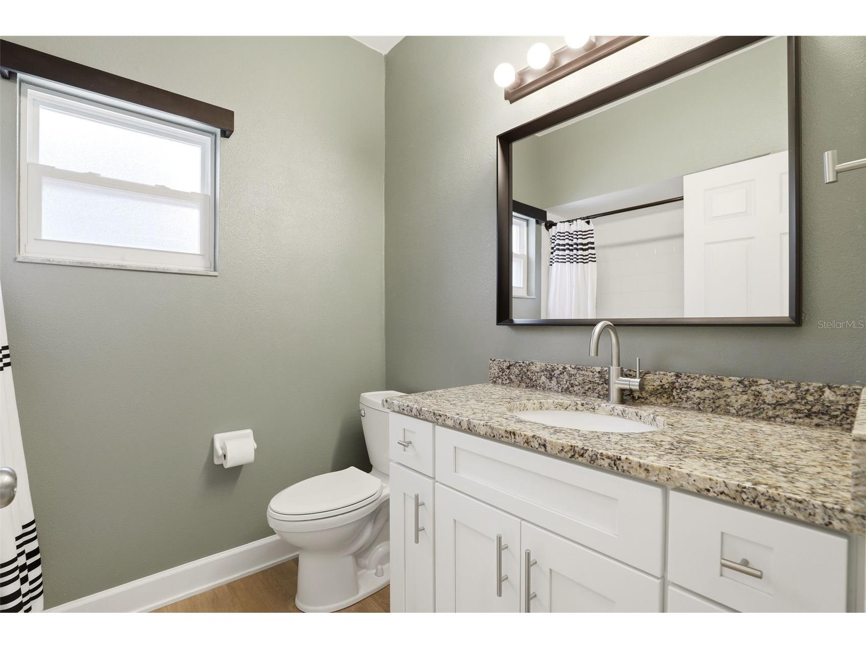 30603 Turnberry Avenue Sorrento FL 32776 O6411664 image29