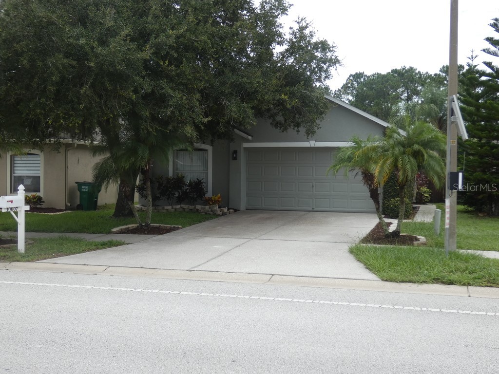 30607 Birdhouse Drive Wesley Chapel FL 33545 W7866990 image1