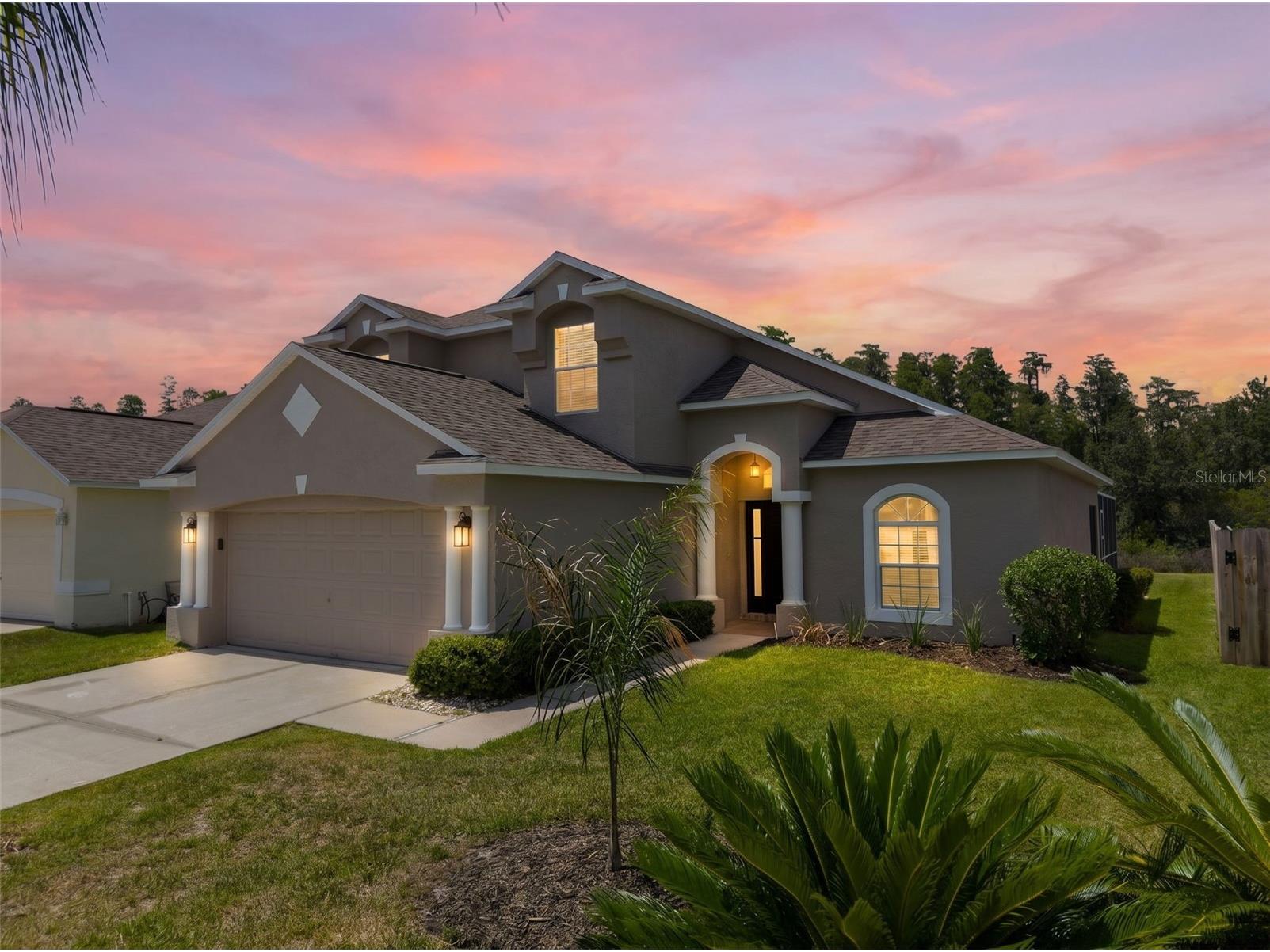 30609 Tremont Drive Wesley Chapel FL 33543 TB8519656 image1