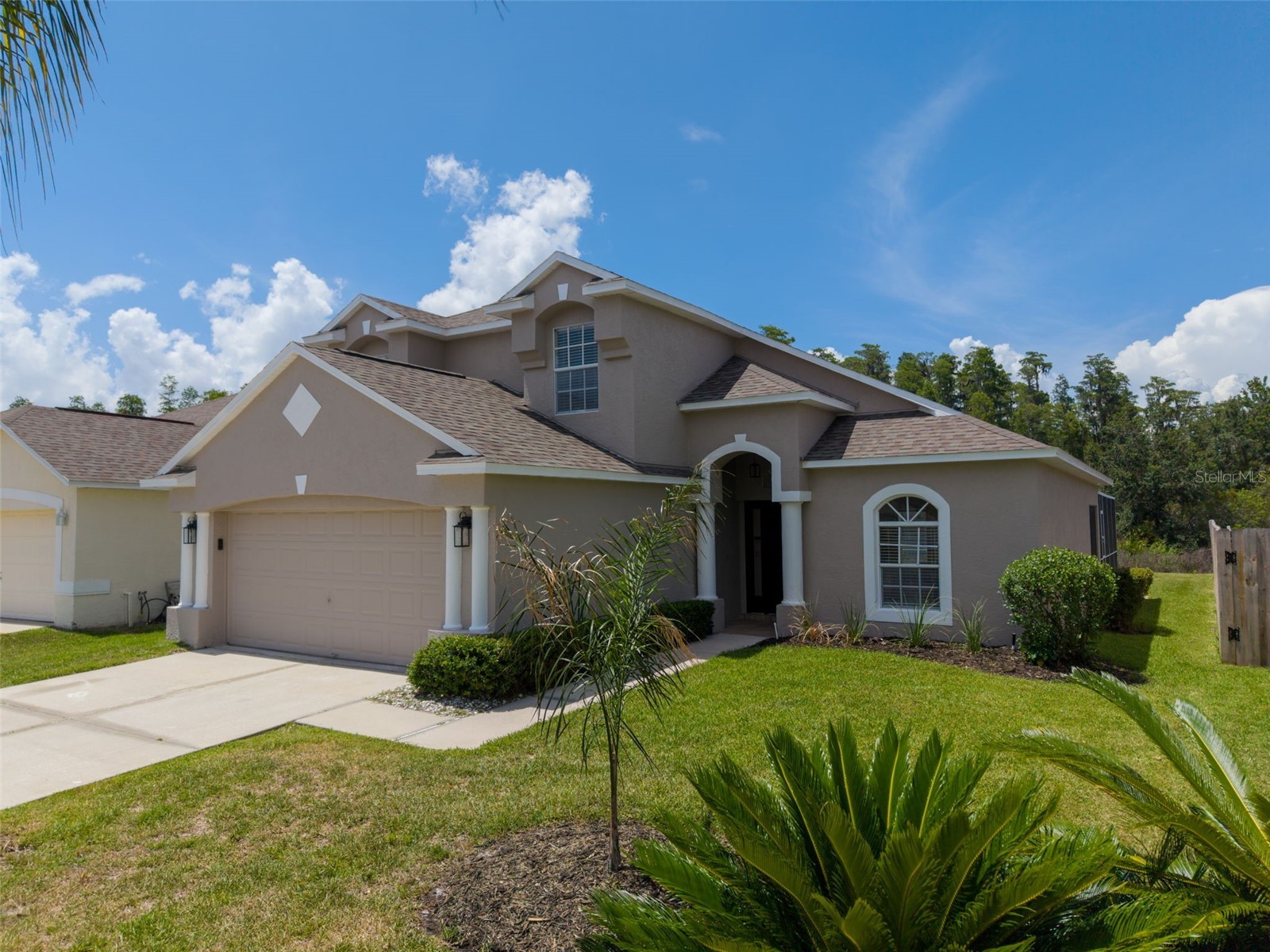 30609 Tremont Drive Wesley Chapel FL 33543 TB8519656 image40