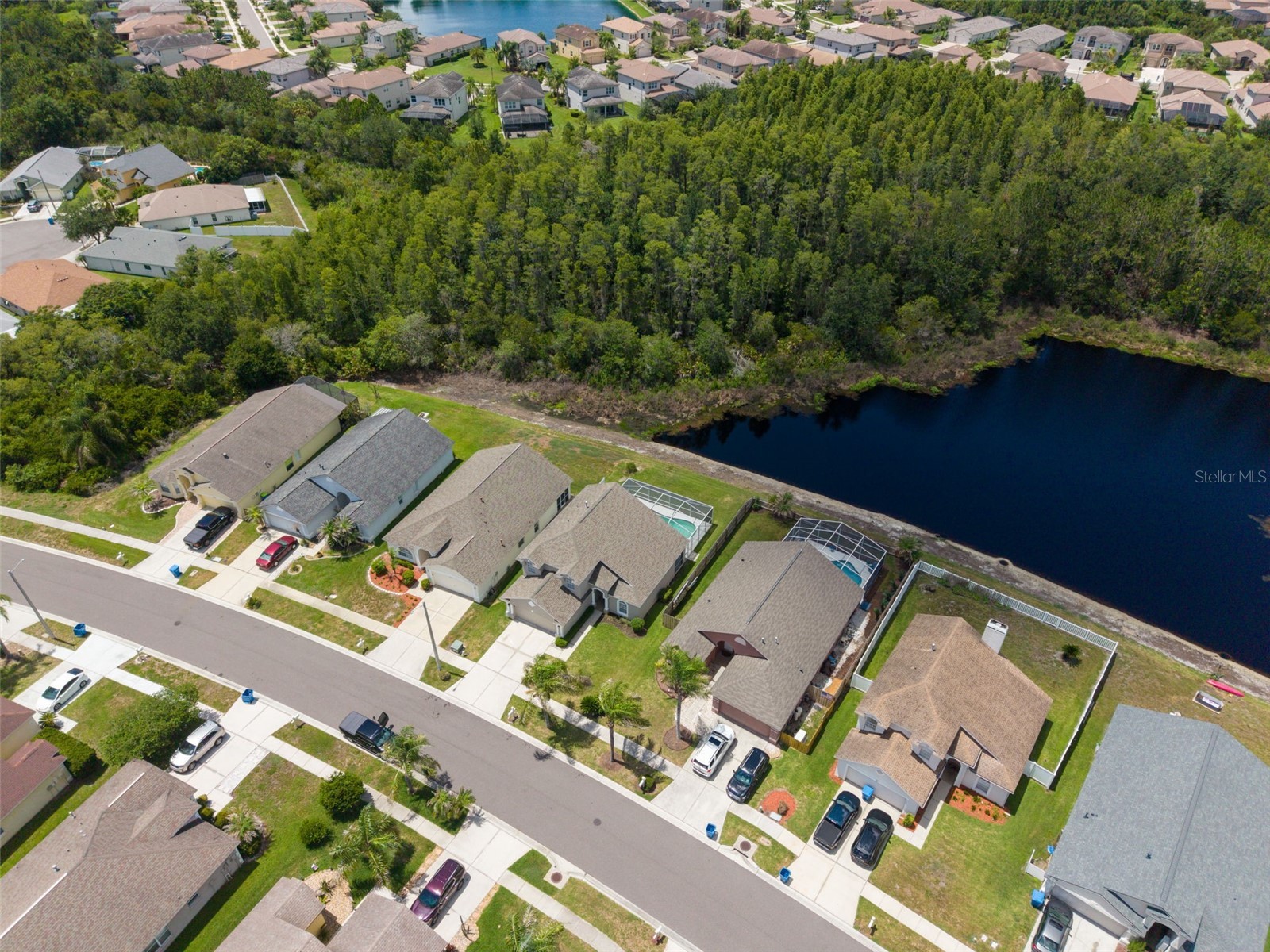 30609 Tremont Drive Wesley Chapel FL 33543 TB8519656 image45