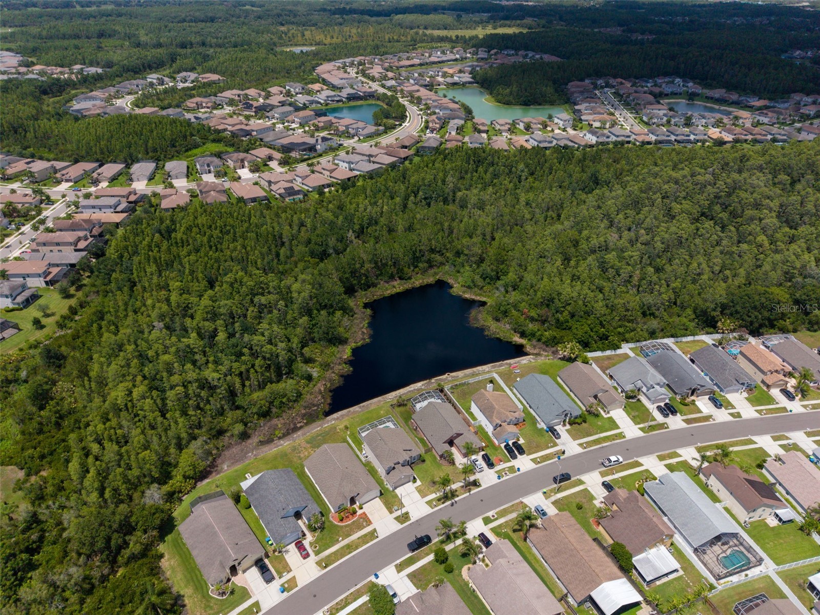 30609 Tremont Drive Wesley Chapel FL 33543 TB8519656 image46
