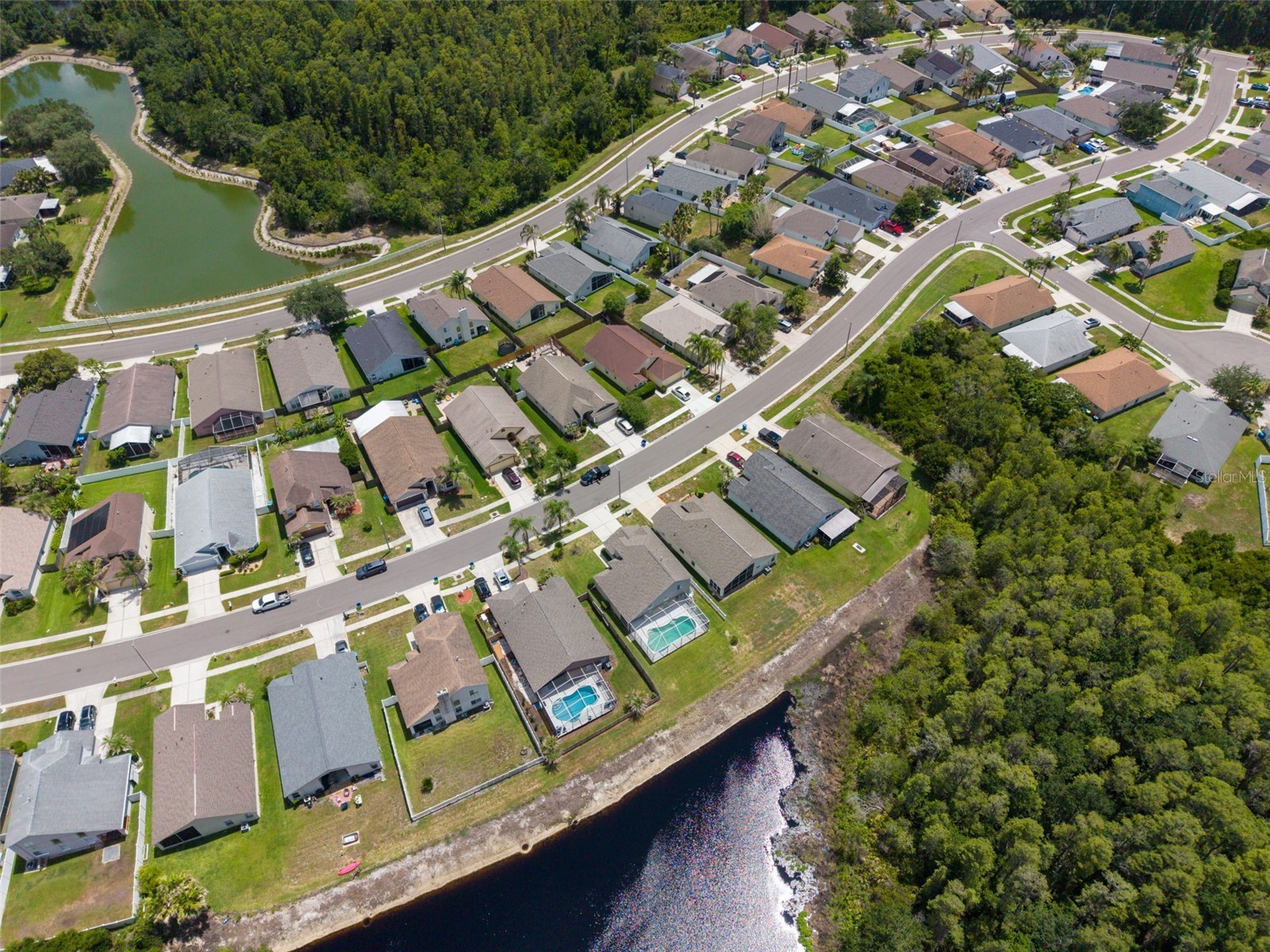 30609 Tremont Drive Wesley Chapel FL 33543 TB8519656 image47