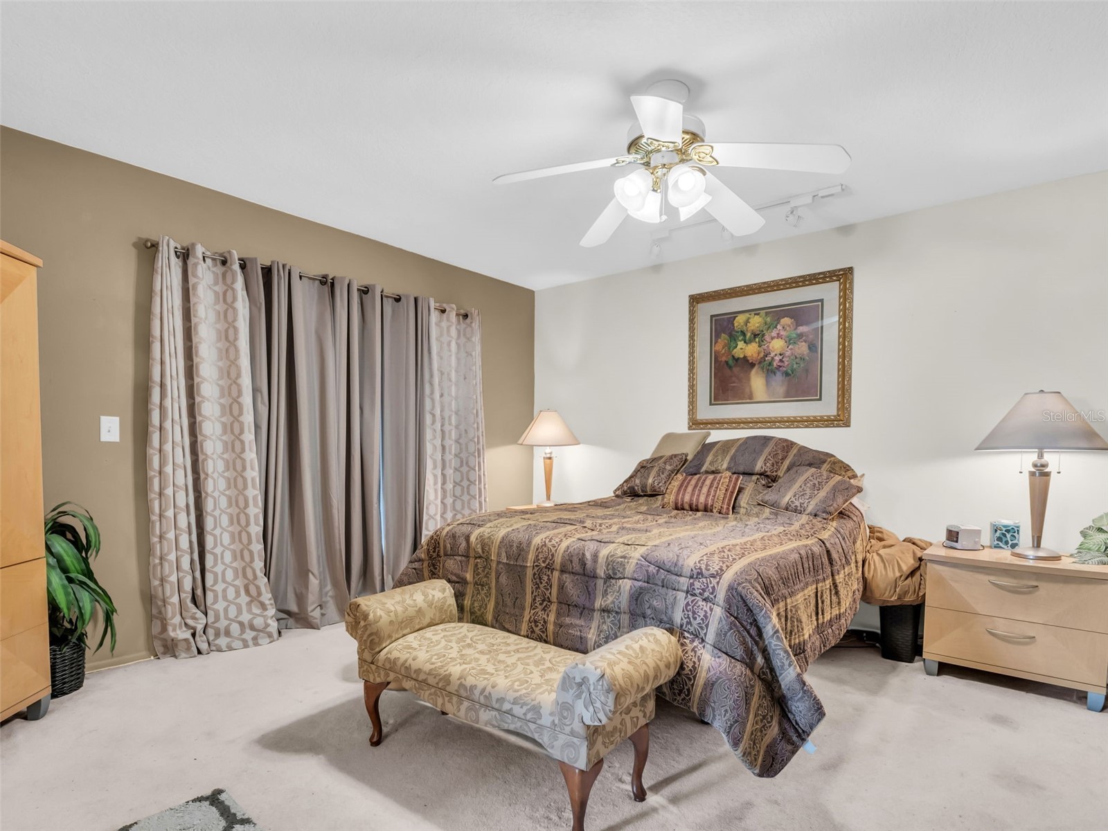 3061 Alt 19 Palm Harbor FL 34683 TB8480125 image20