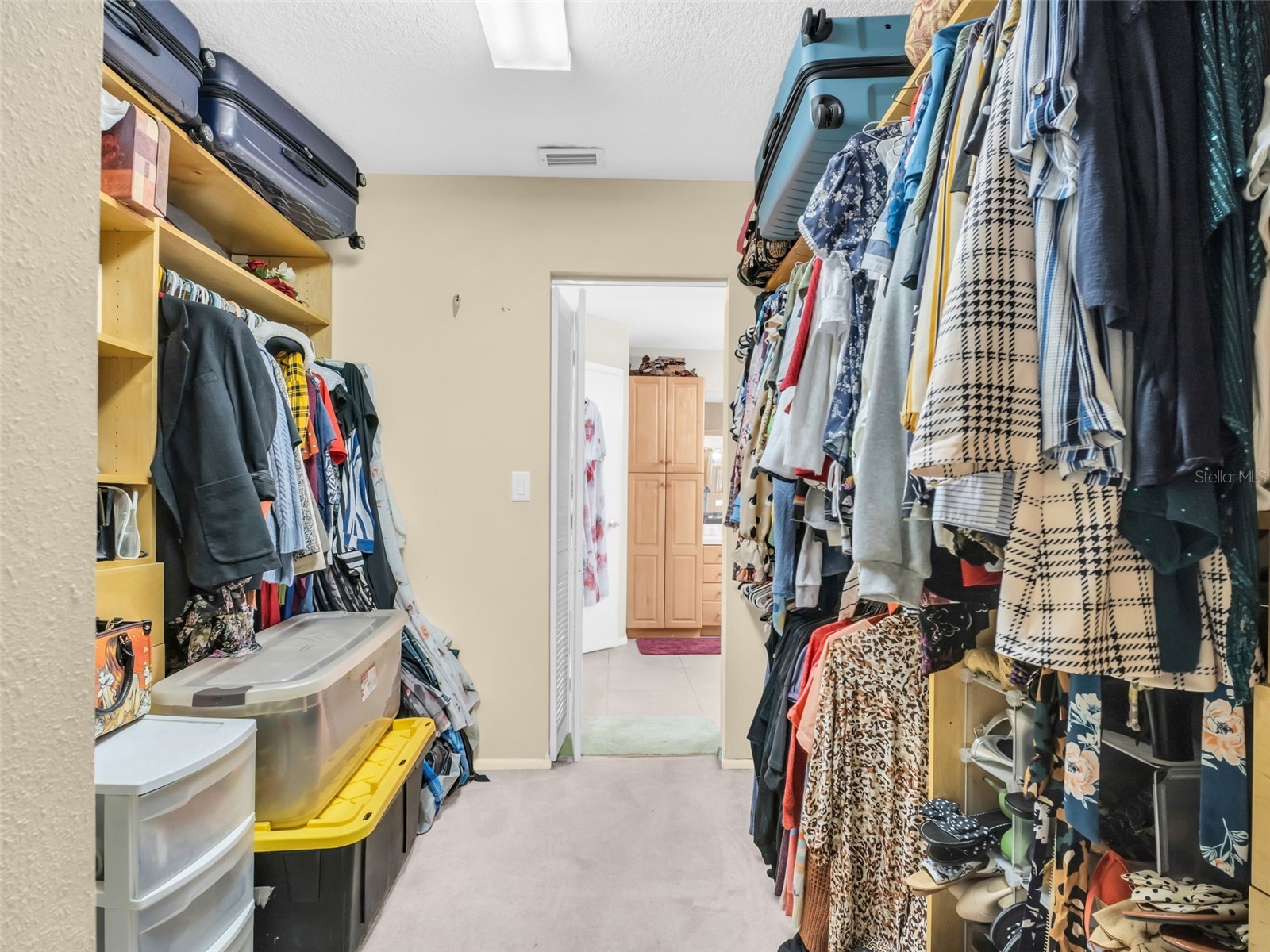 3061 Alt 19 Palm Harbor FL 34683 TB8480125 image28